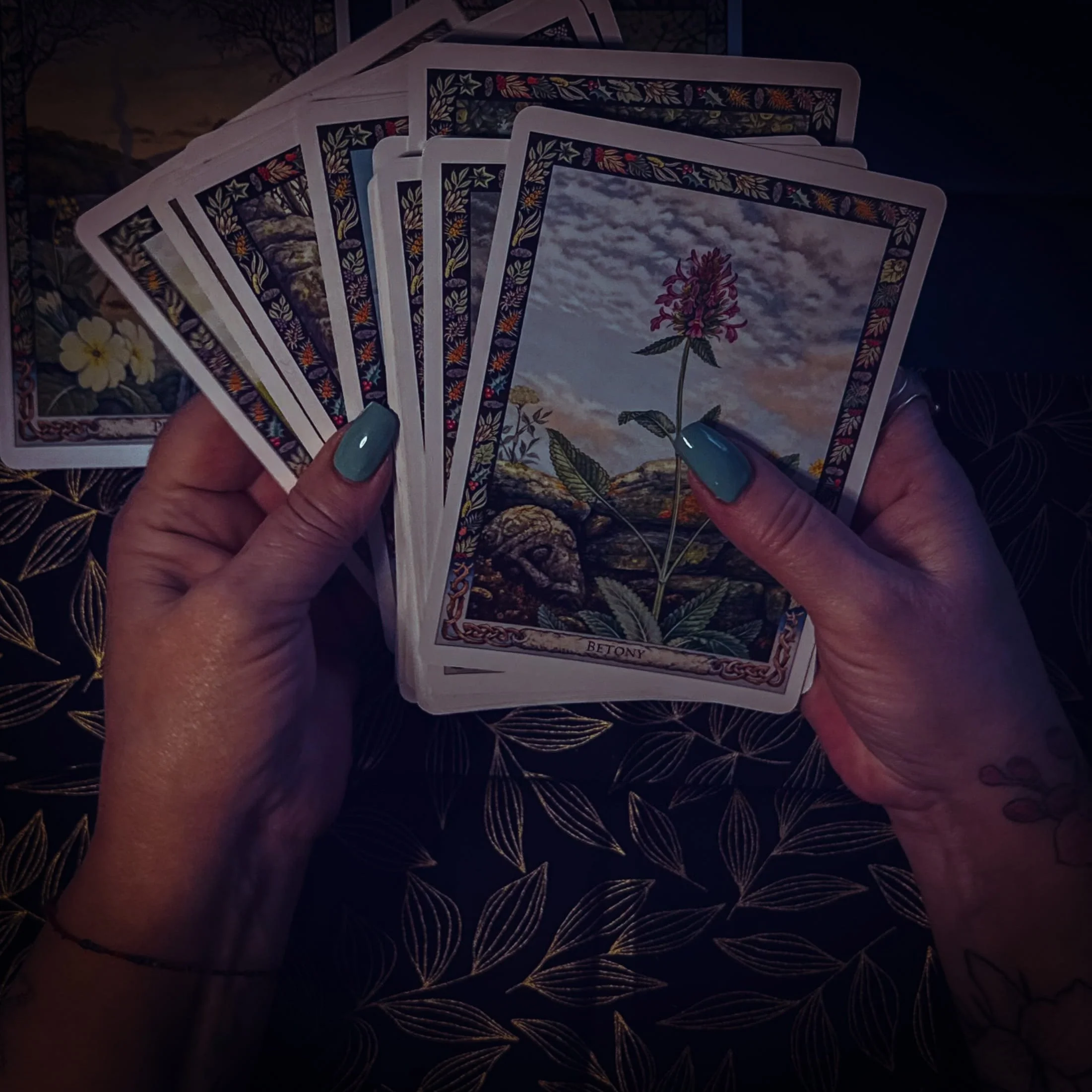 Close up of hands holding tarot cards during reflective reading session