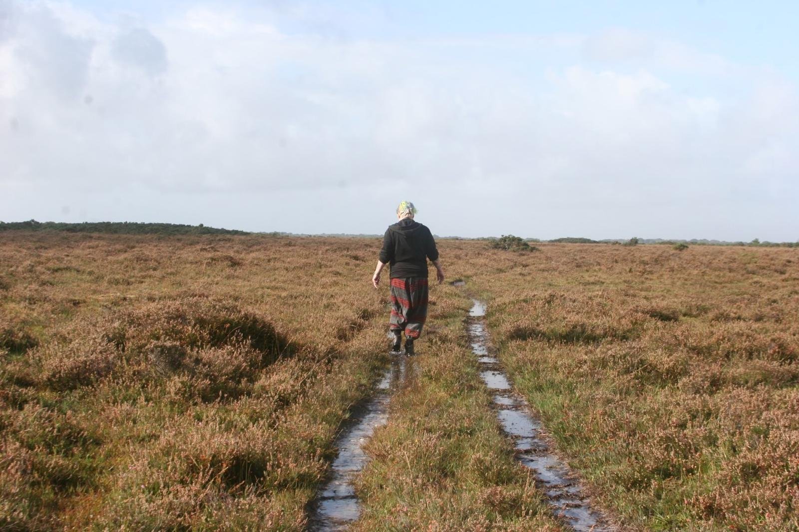 A walker moving along a boardwalk path through New Forest heather moorland, a grounding walking meditation practice