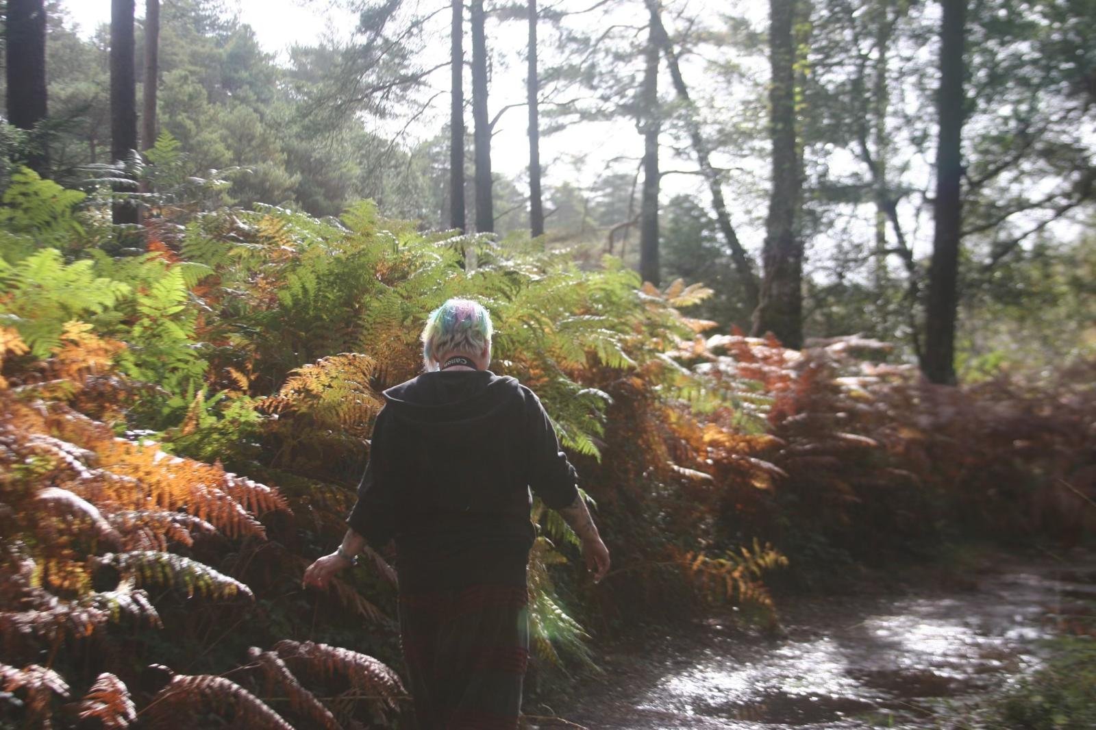 A figure walking away through golden autumn ferns on a woodland path, sensing land energy