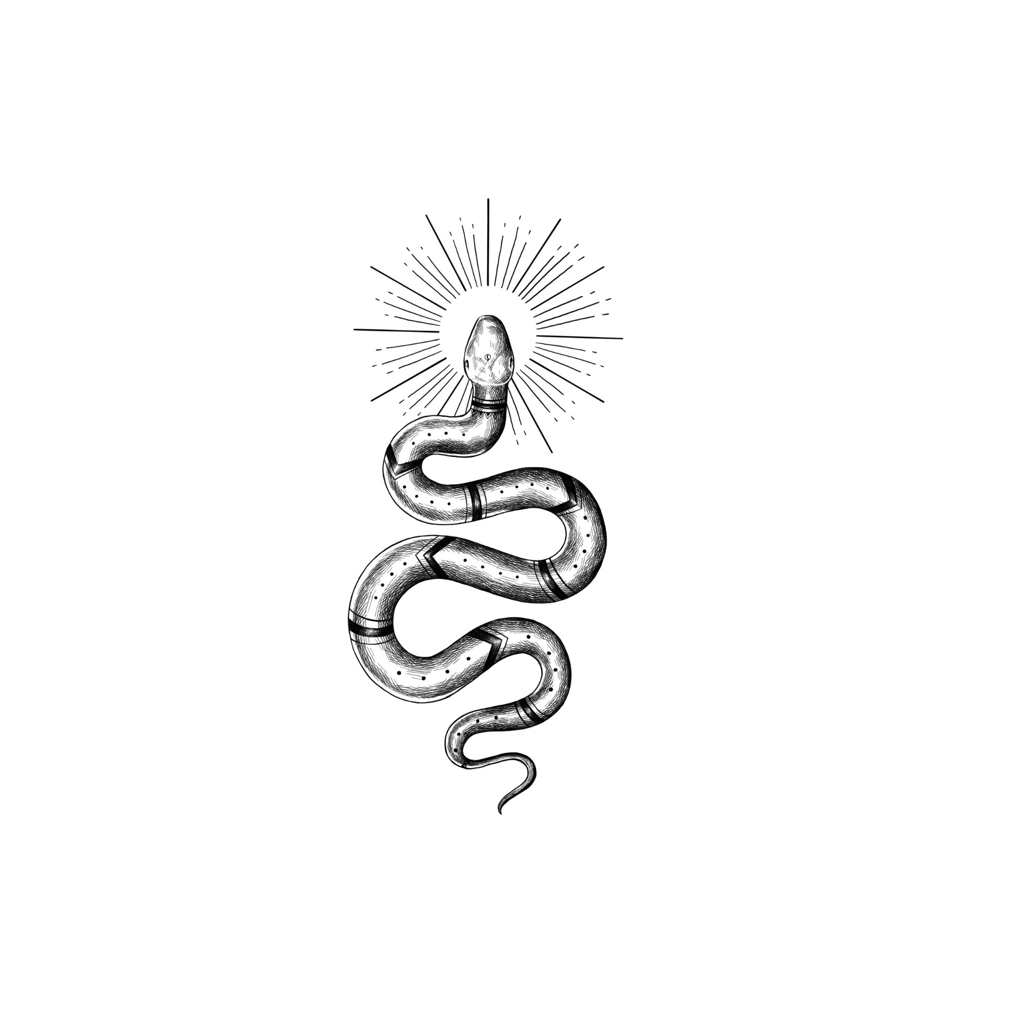 snake - godess stories outdoors in the New Forest