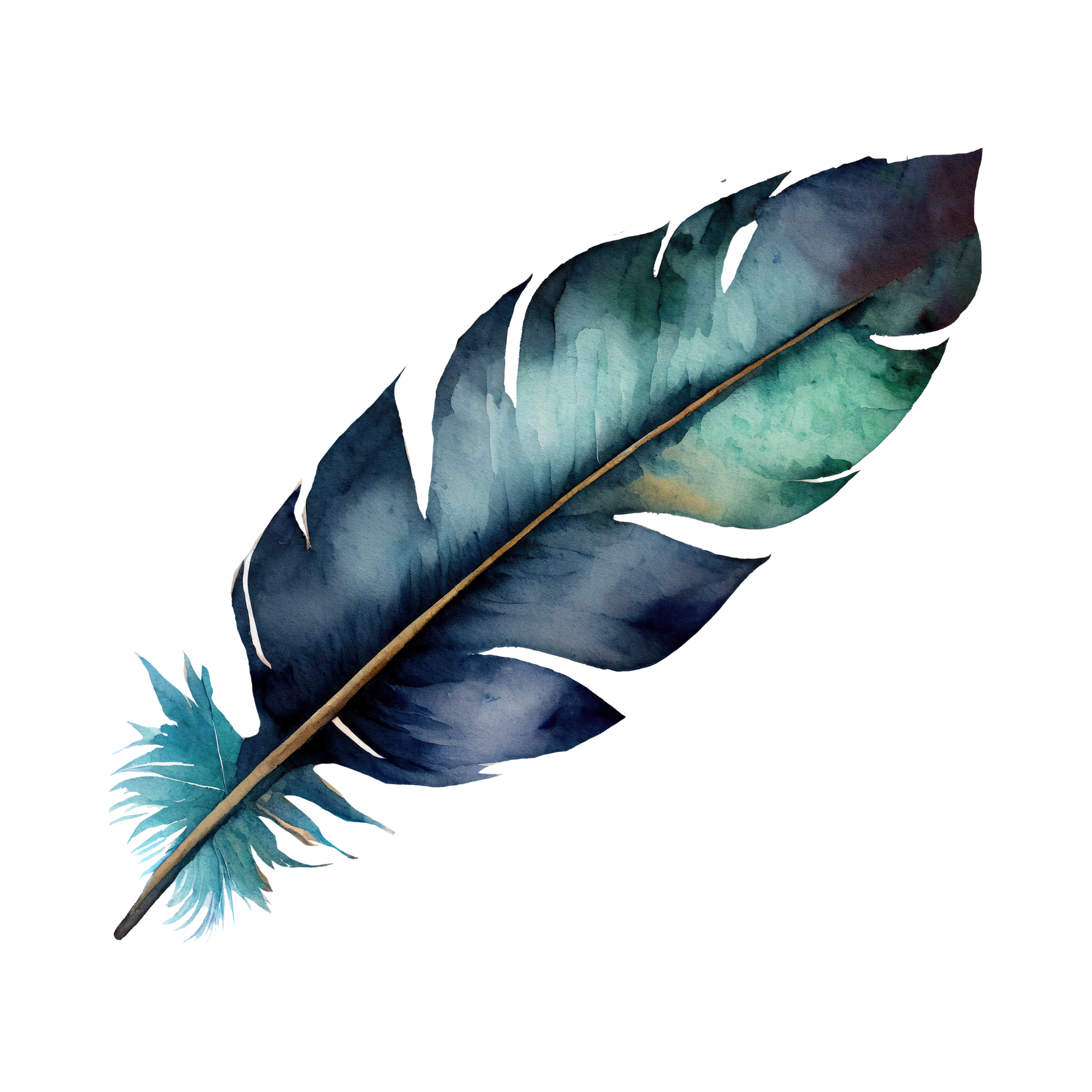 Feather illustration symbolising storytelling and ancestral lore