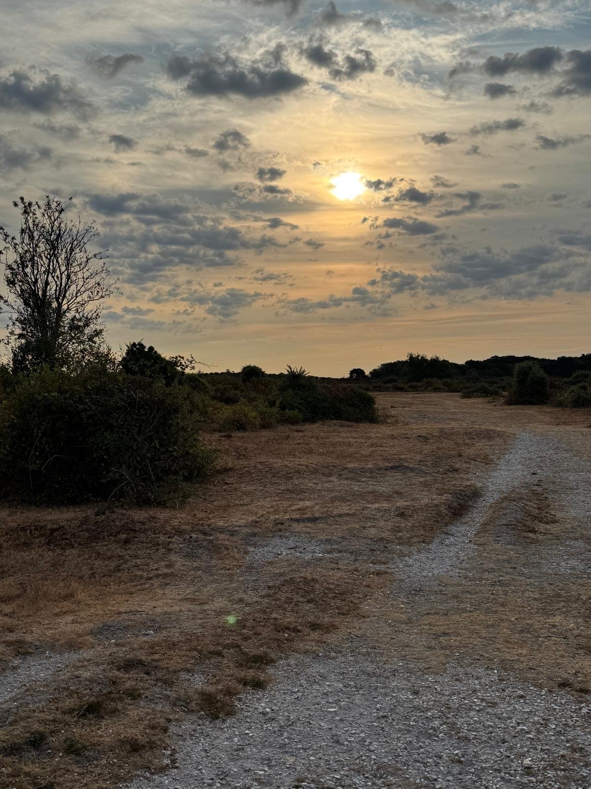 New Forest heathland at sunrise, gravel path leading toward the rising sun, the long Lammas season turning toward Mabon