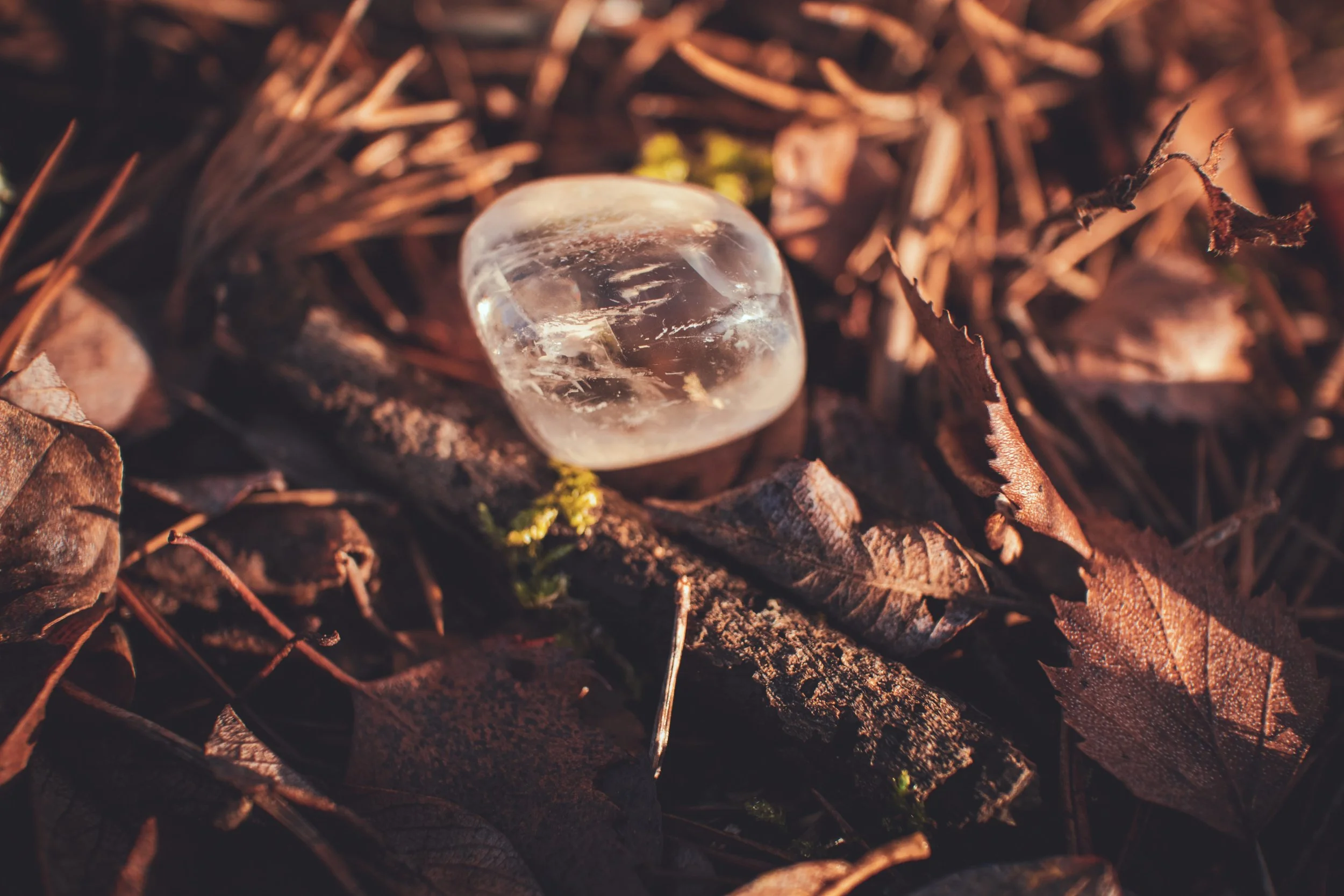 A clear ice sphere resting on fallen brown leaves and twigs on the ground.