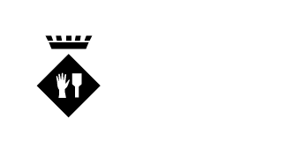 logotip ajuntament palau-solità i plegamans