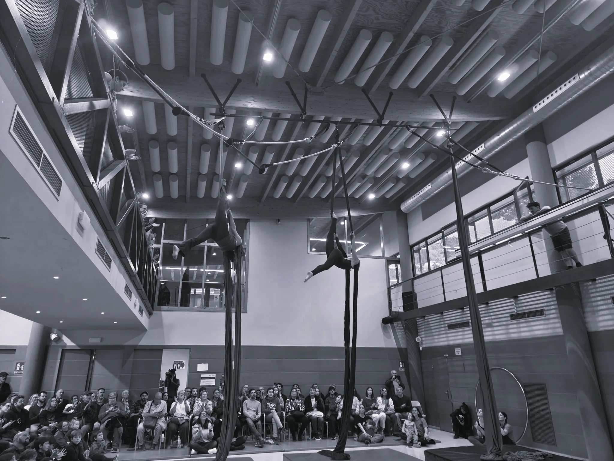 residencia artistica en circ