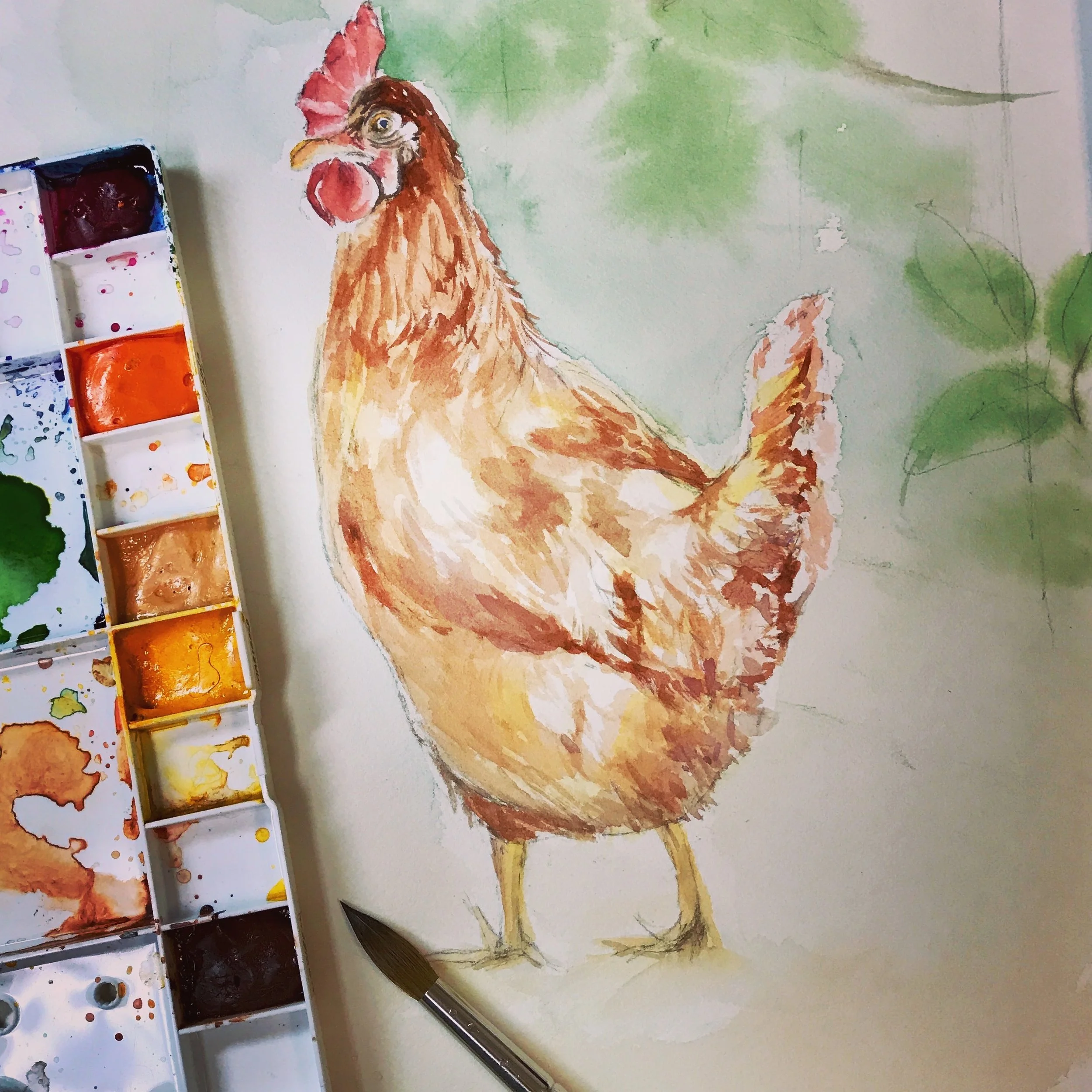 Watercolor painting of a chicken with a red comb and wattles, brown and white feathers, set against a green and blue watercolor background, with watercolor paint palette in the corner.