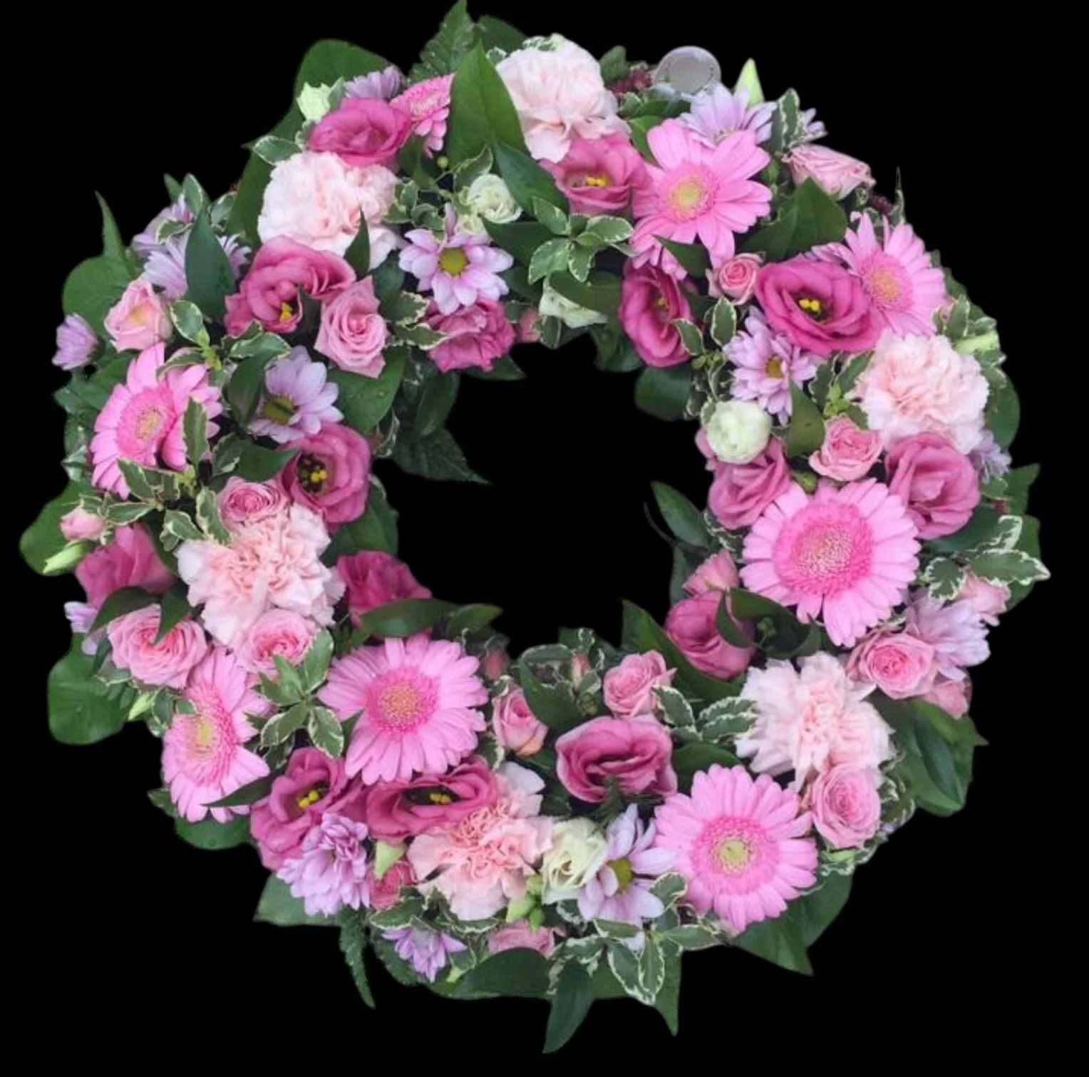 Pink Serenity