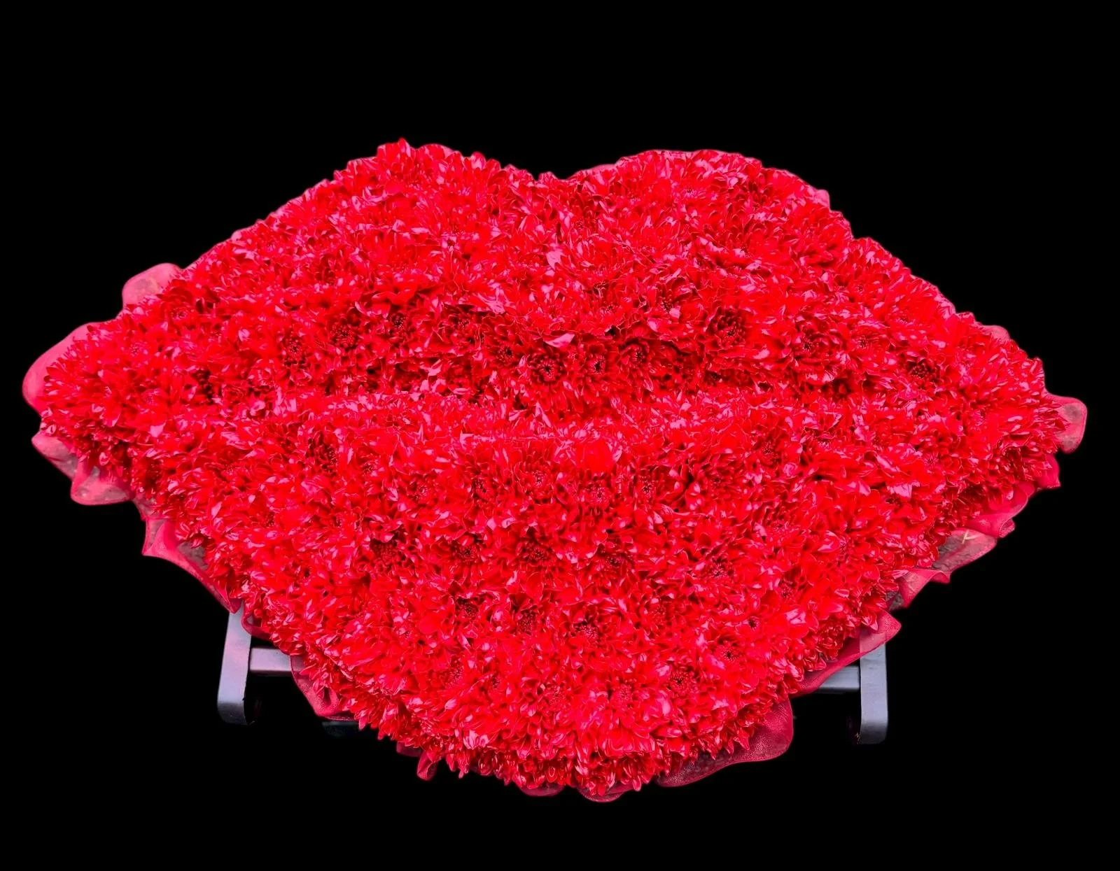 A large bouquet of red carnations arranged on a black background.