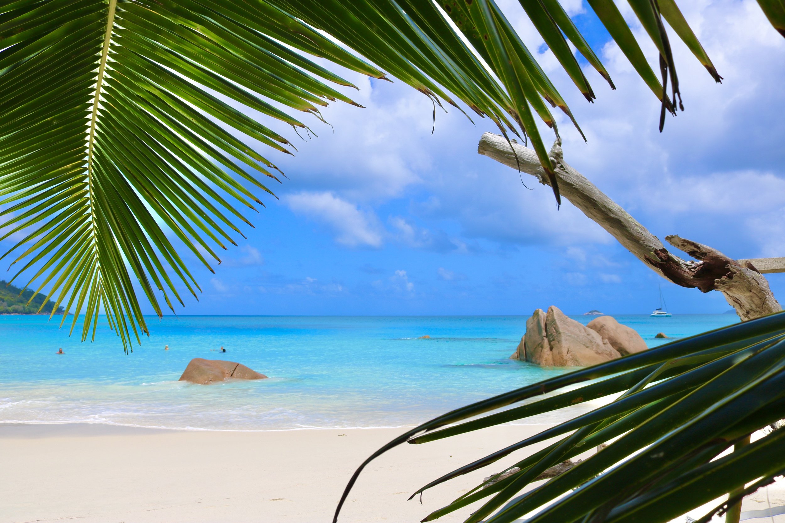 Ein Strand mit weißem Sand, klaarem blauen Wasser, Felsen und einen Segelboot im Hintergrund, eingerahmt von Palmenblättern und einem Baum im Vordergrund.