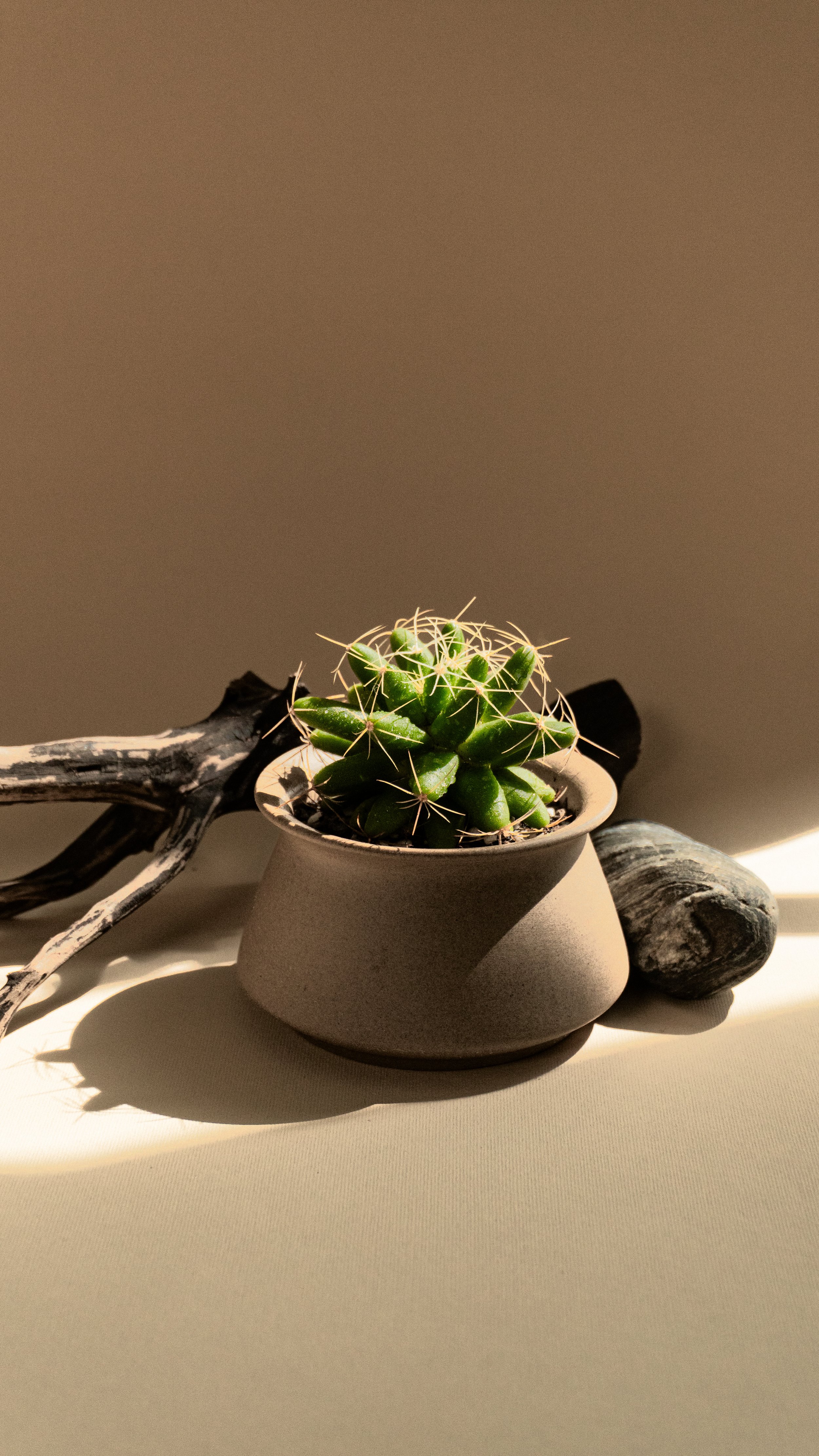 HCSM 260214 Star Fragment-1.jpg