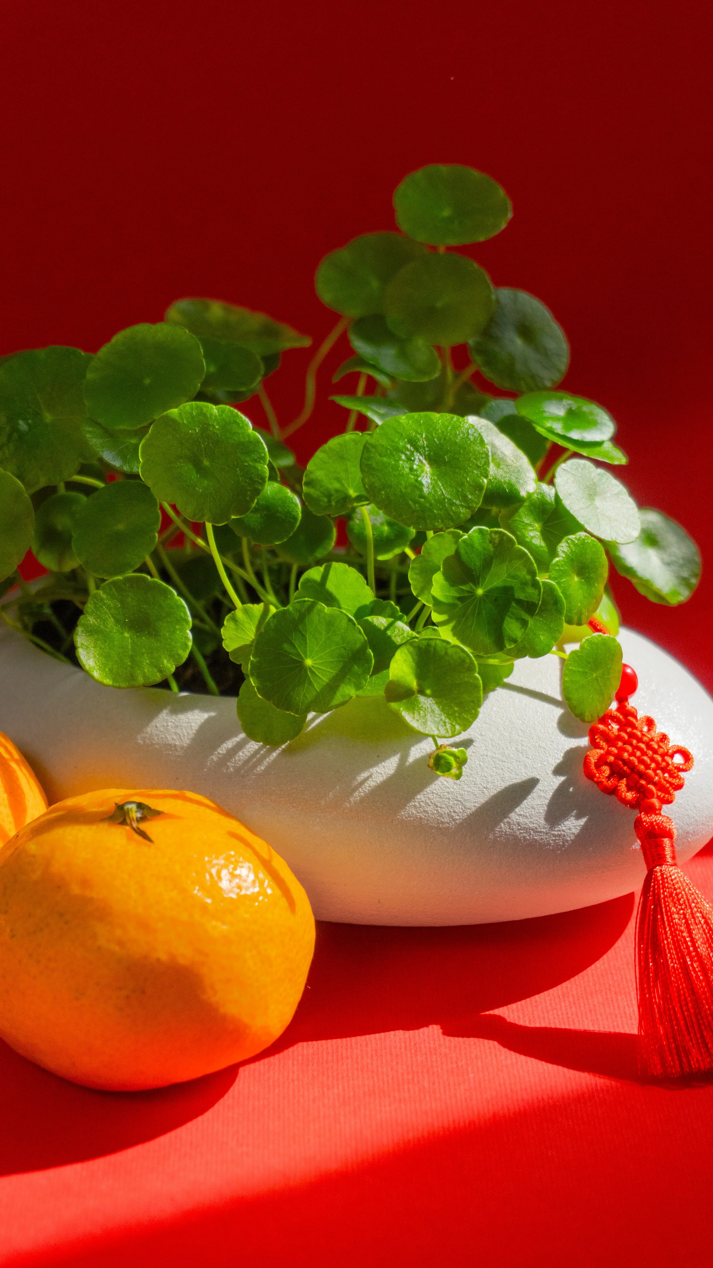 HCSM Round 3.1-9.jpg