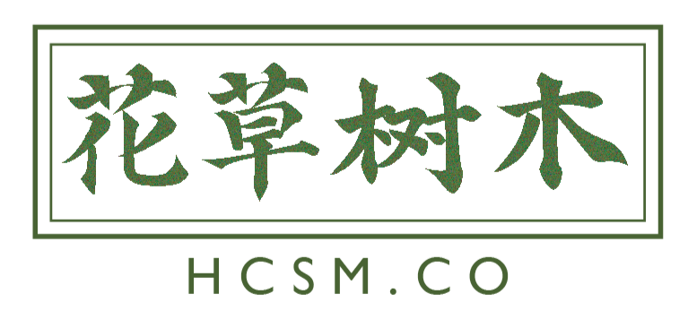 HCSM.CO | For Your Nurturing Needs