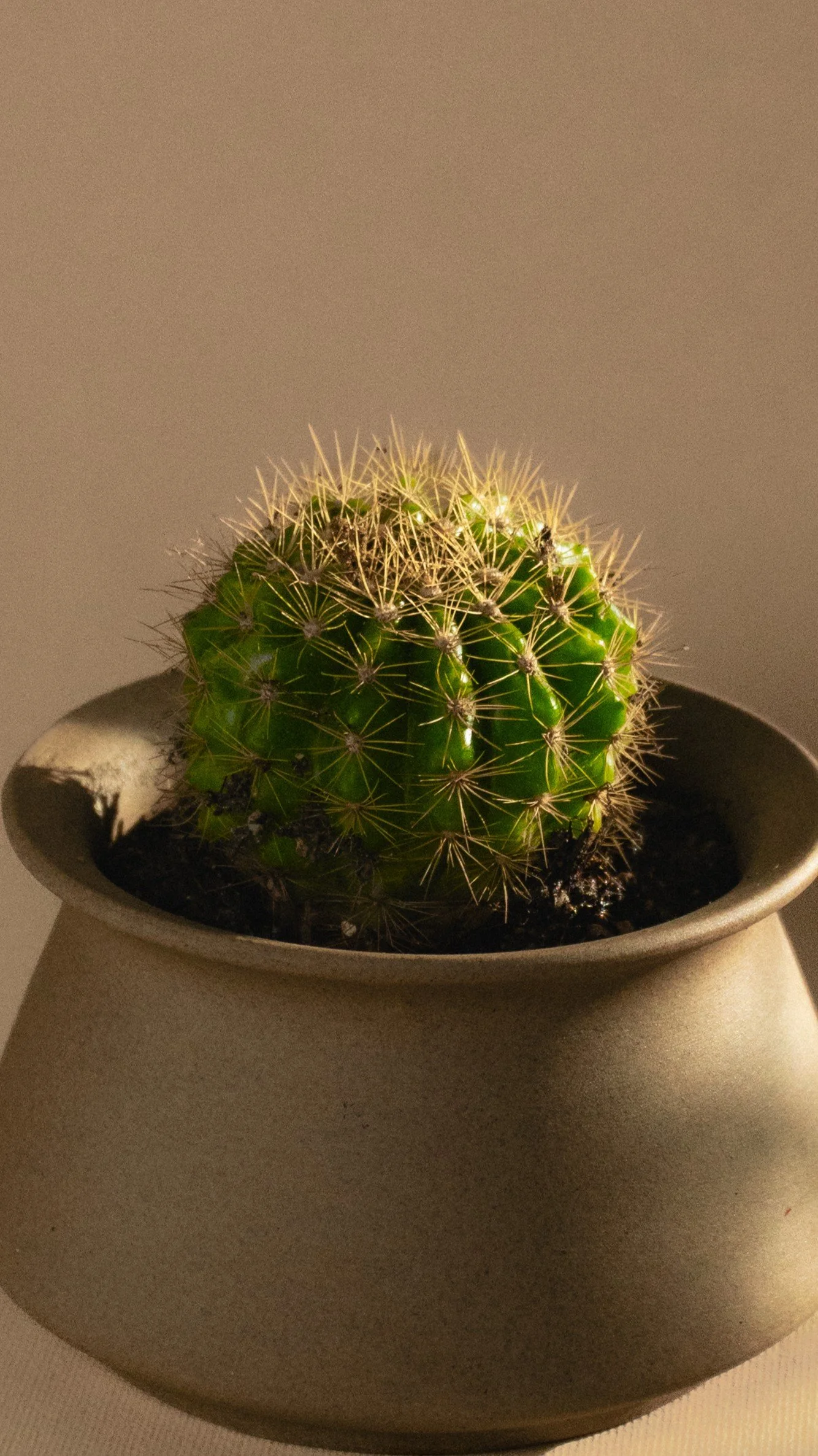 HCSM Round 3-17CU.jpg