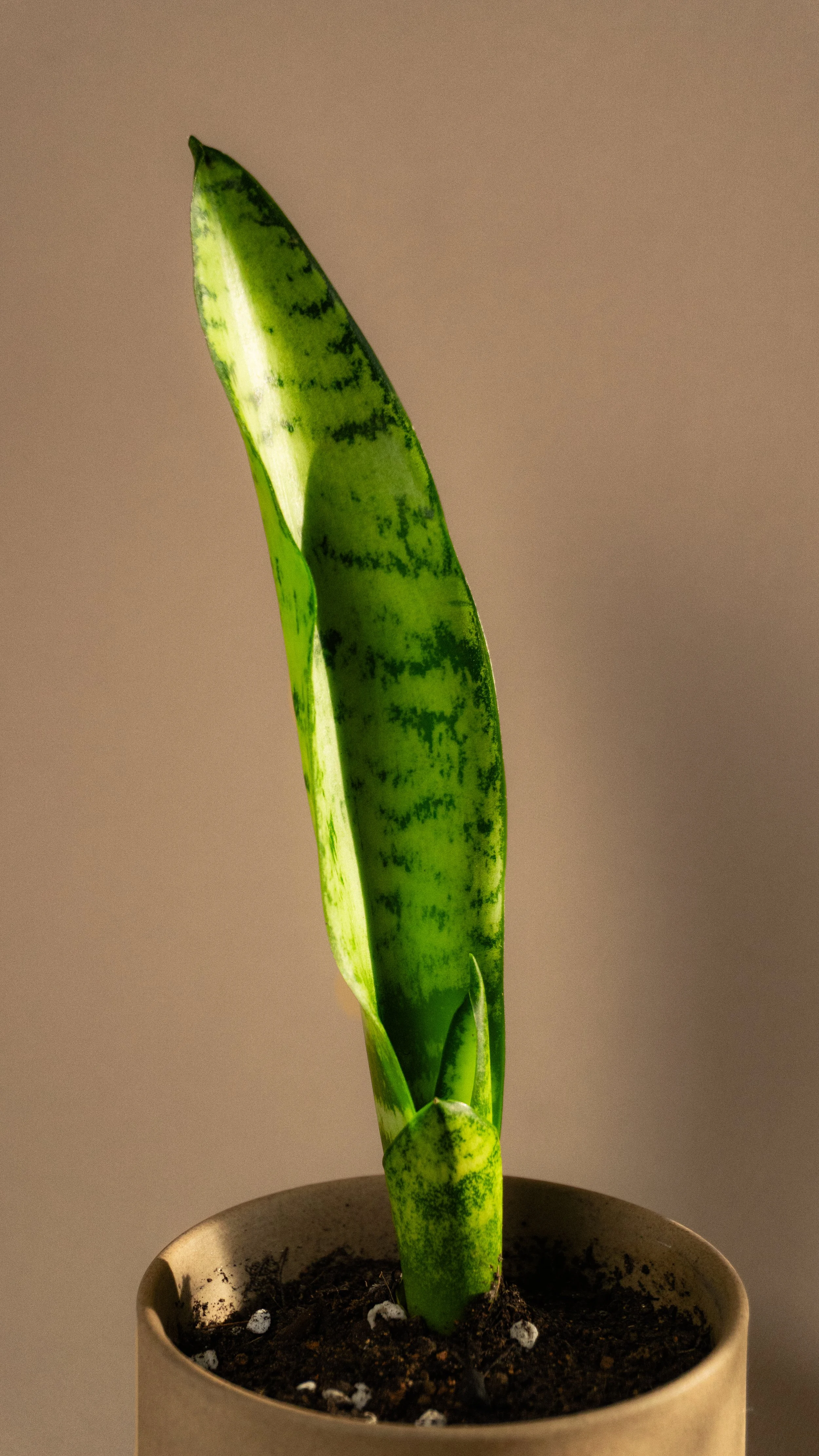 HCSM Round 3-21.jpg (Copy)