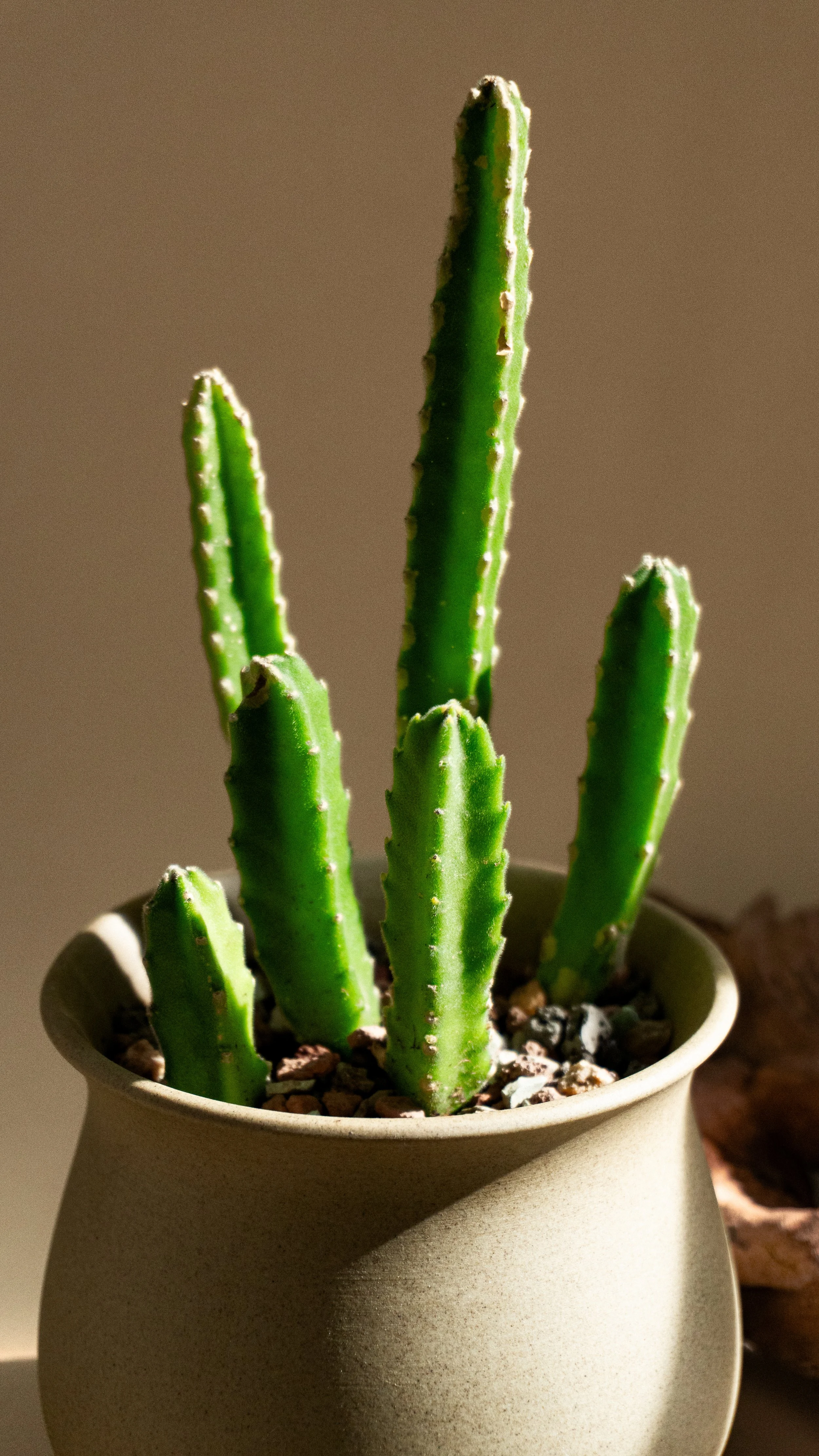 HCSM Round 3.3-11.jpg