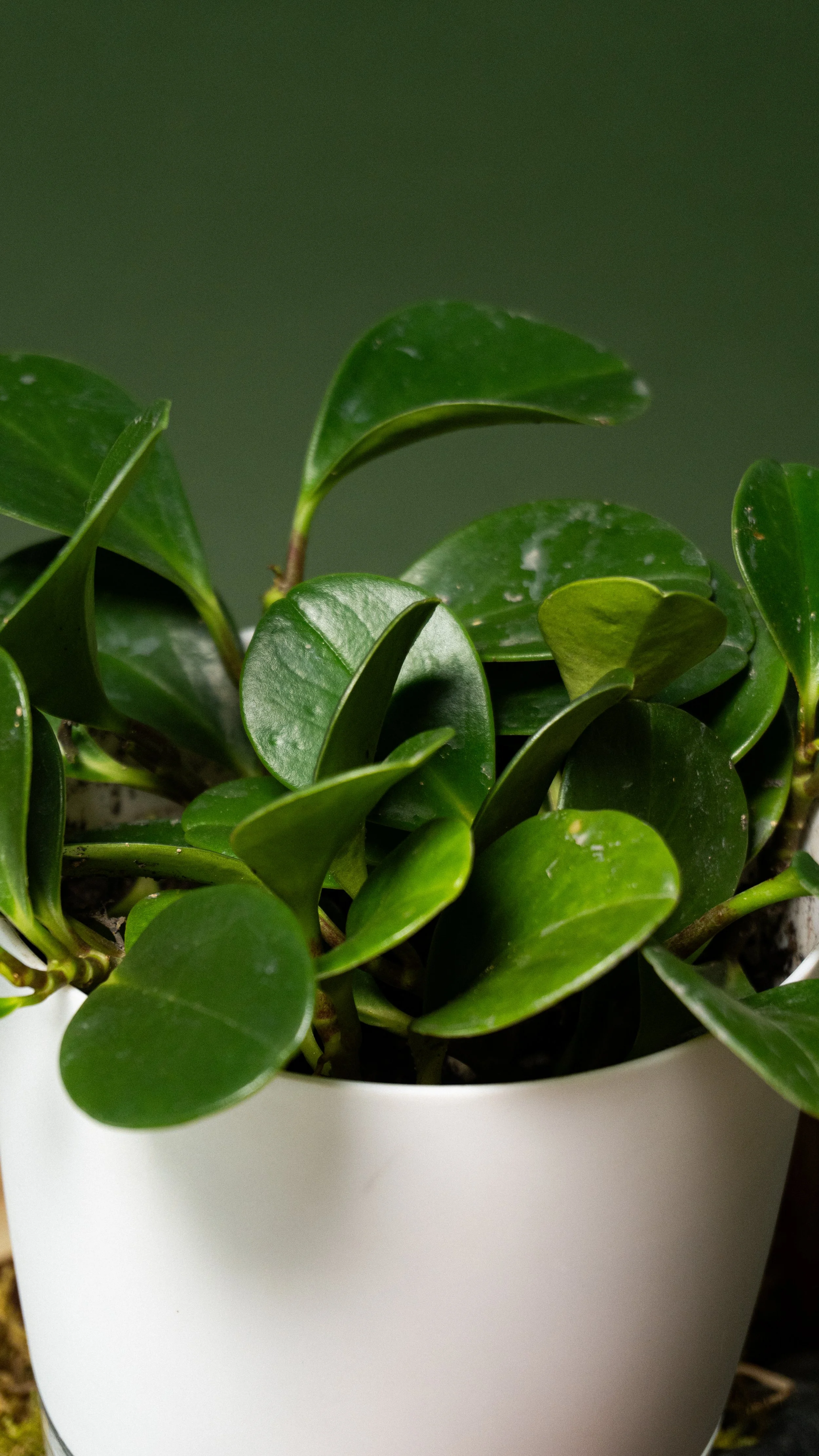 HCSM Round 2-49.jpg (Copy)