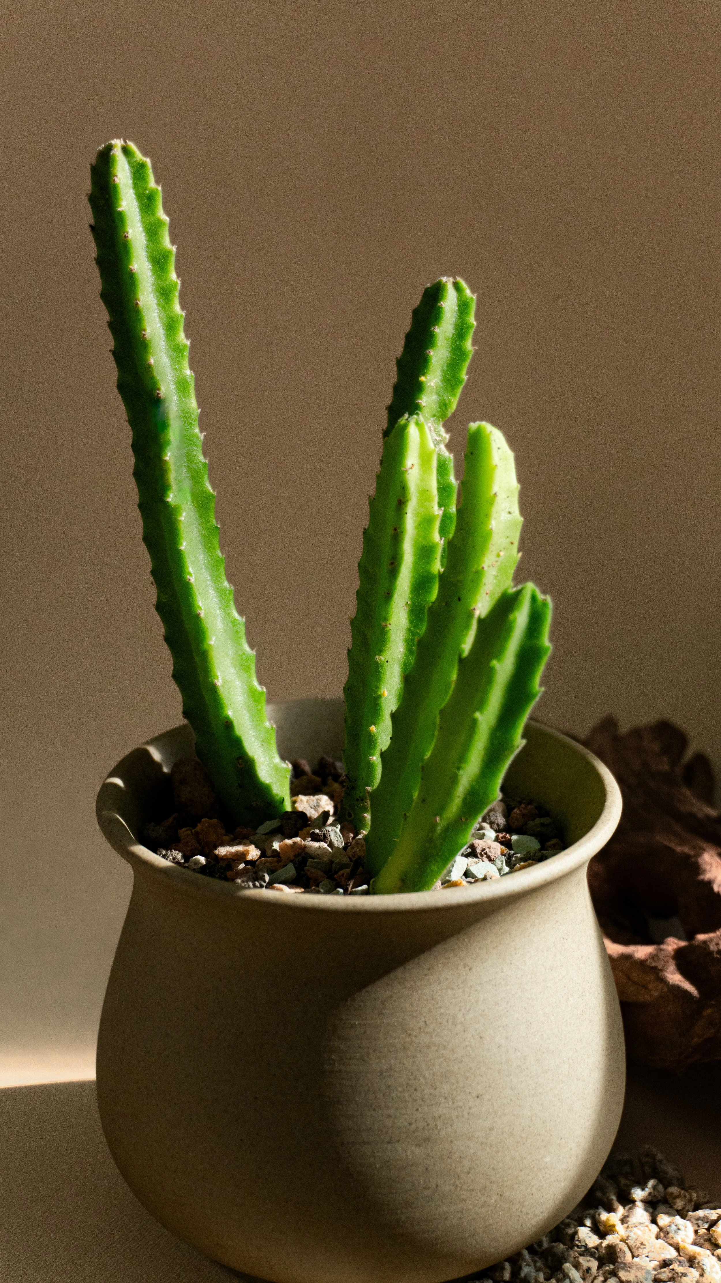 HCSM Round 3.3-7.jpg