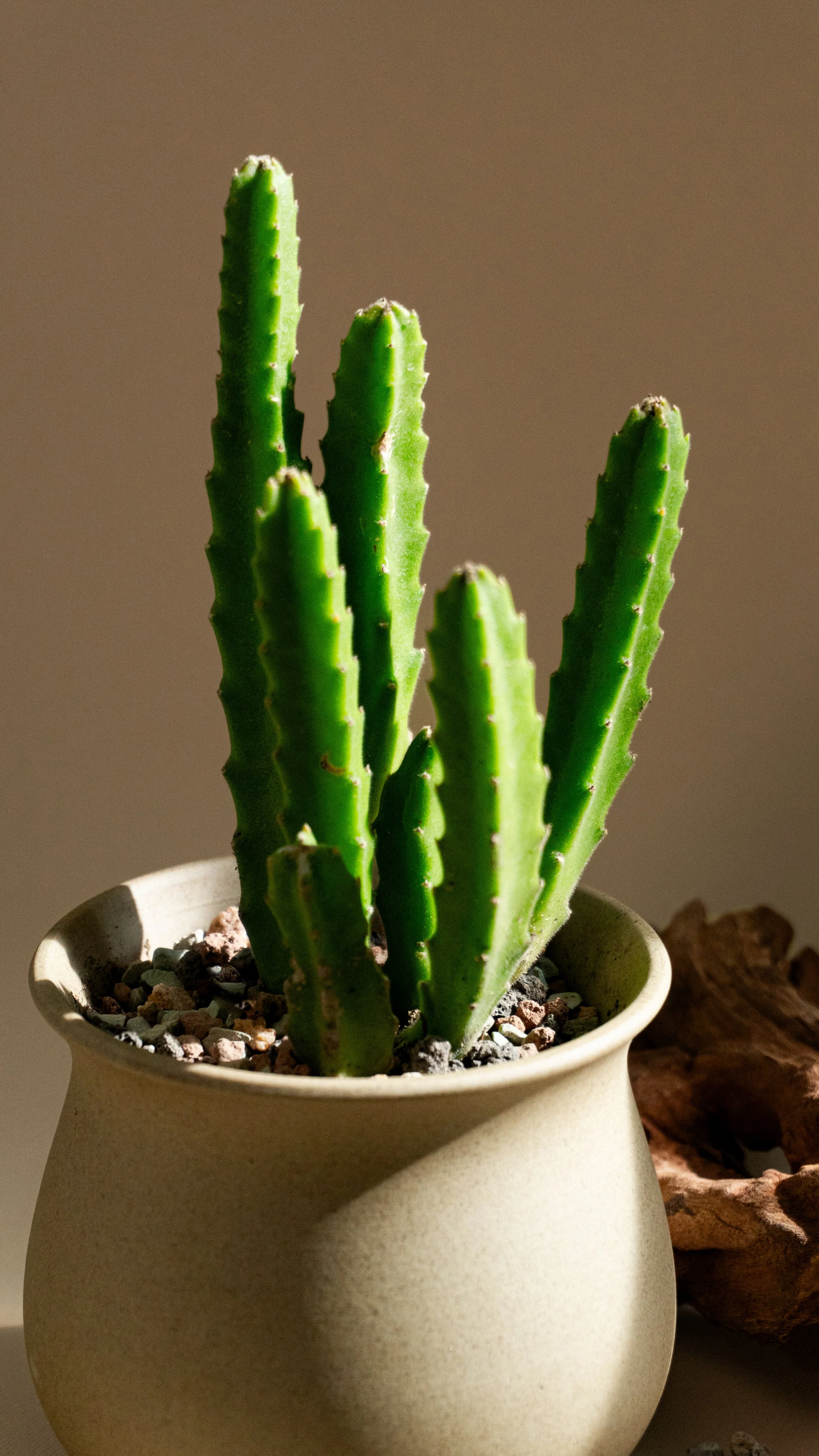 HCSM Round 3.3-4.jpg