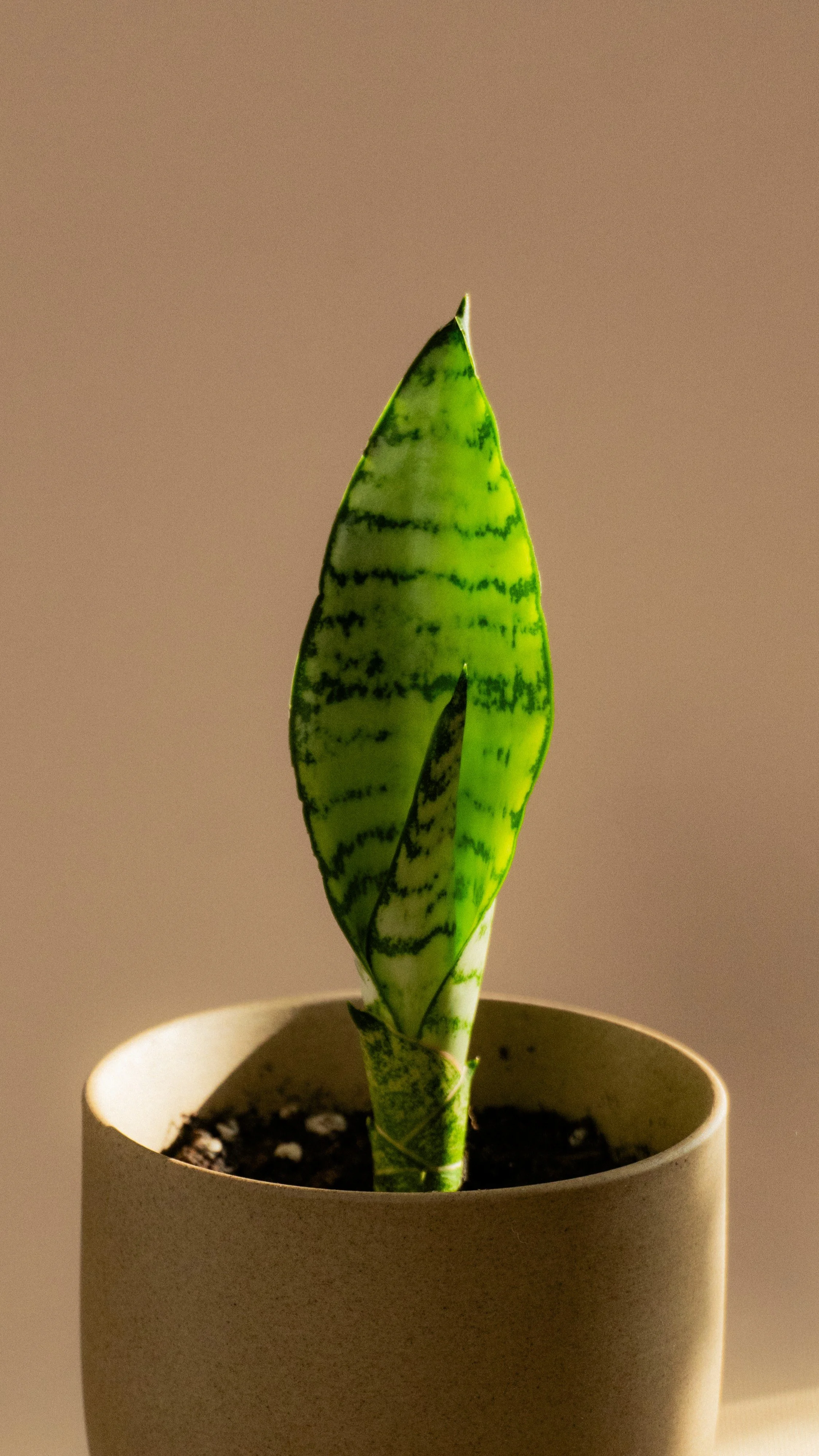 HCSM Round 3-9 CU.jpg