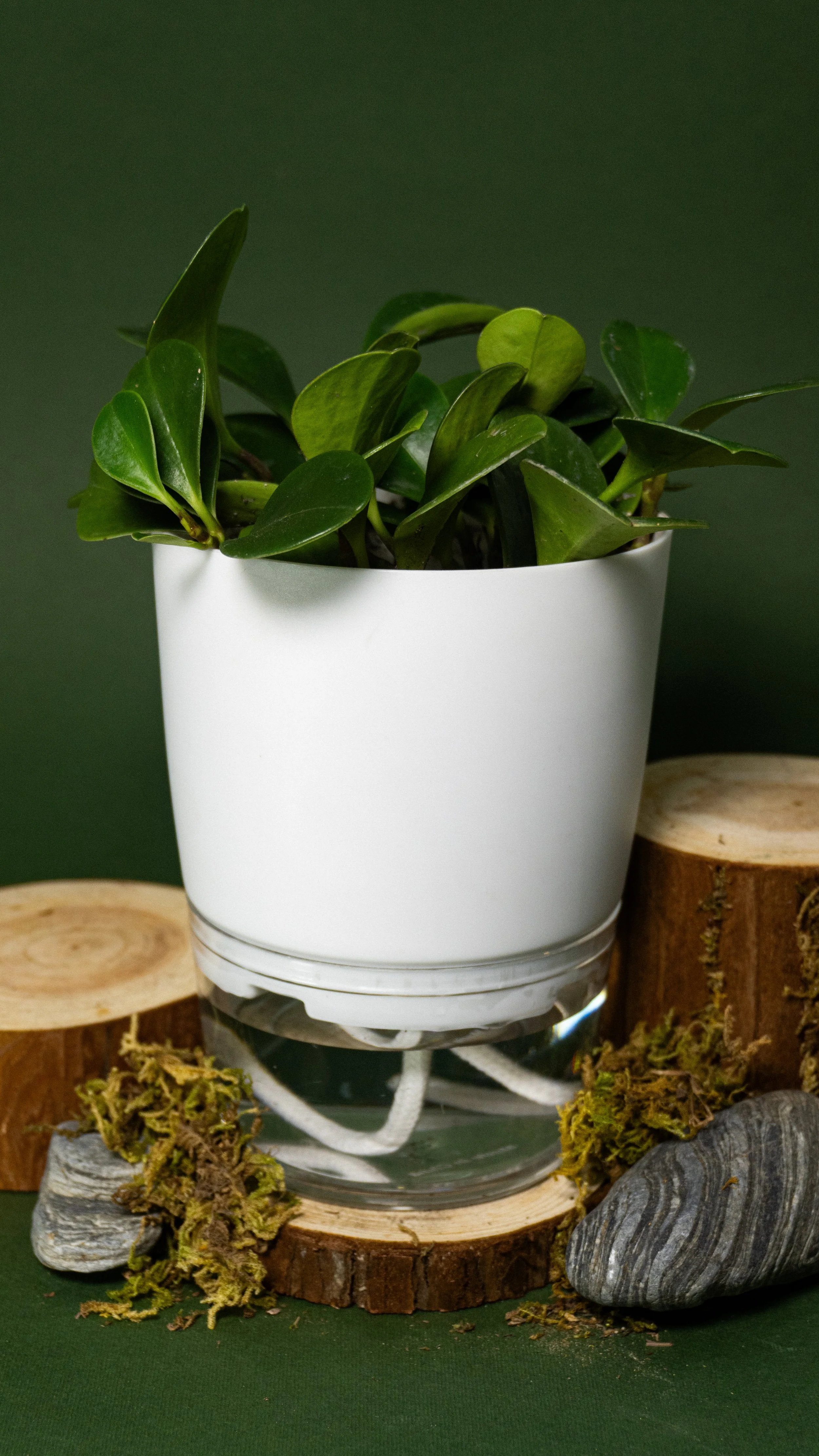 HCSM Round 2-48.jpg (Copy)