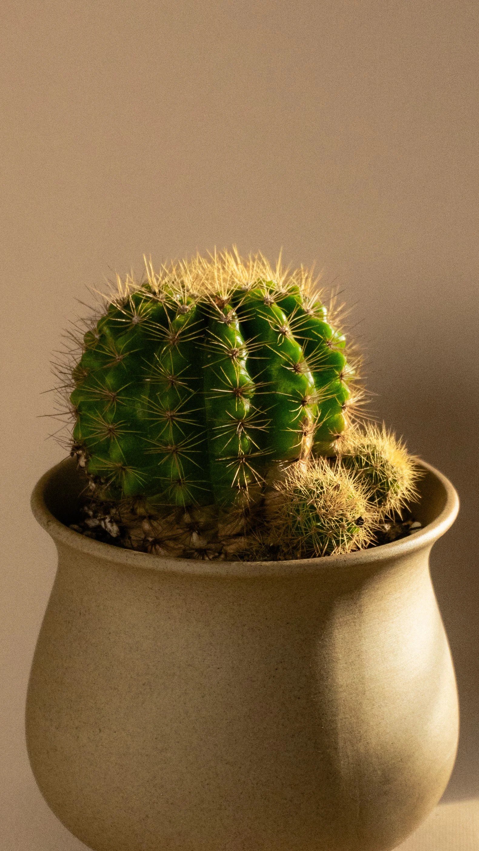 HCSM Round 3-16 CU.jpg