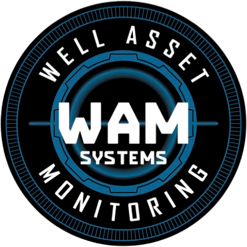 WAM Systems Inc