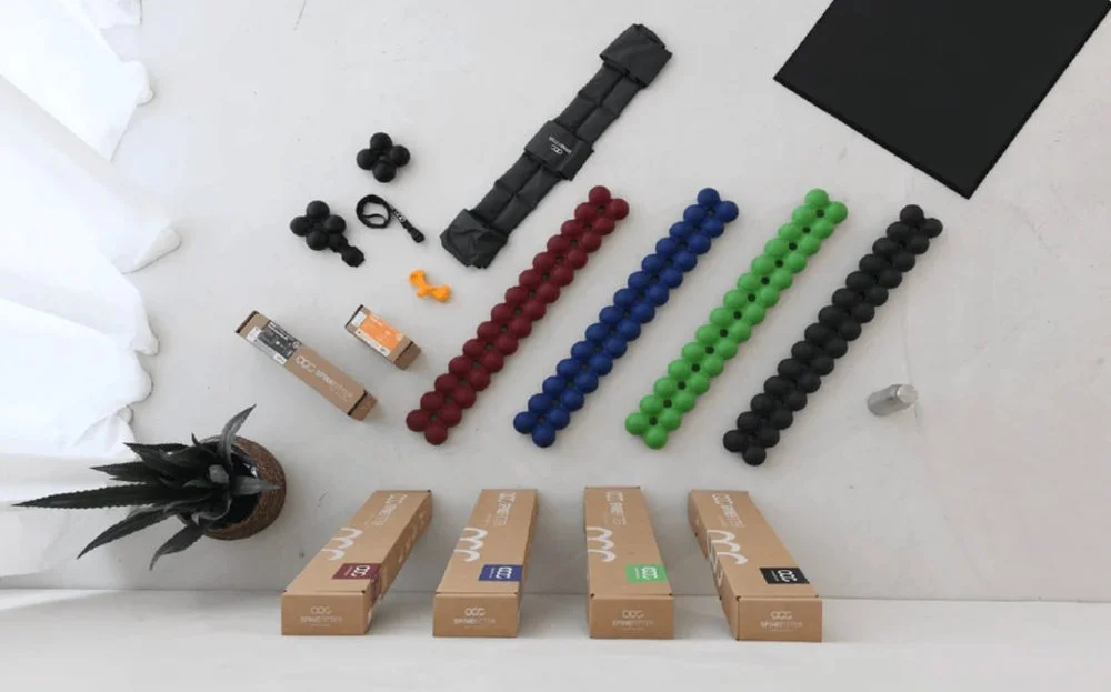 Top-down view of fitness equipment and accessories arranged on a white surface, including resistance bands, dumbbell balls in red, blue, green, and black, a black foam roller, a black mat, a small gray bottle, and a potted plant with long dark green leaves.