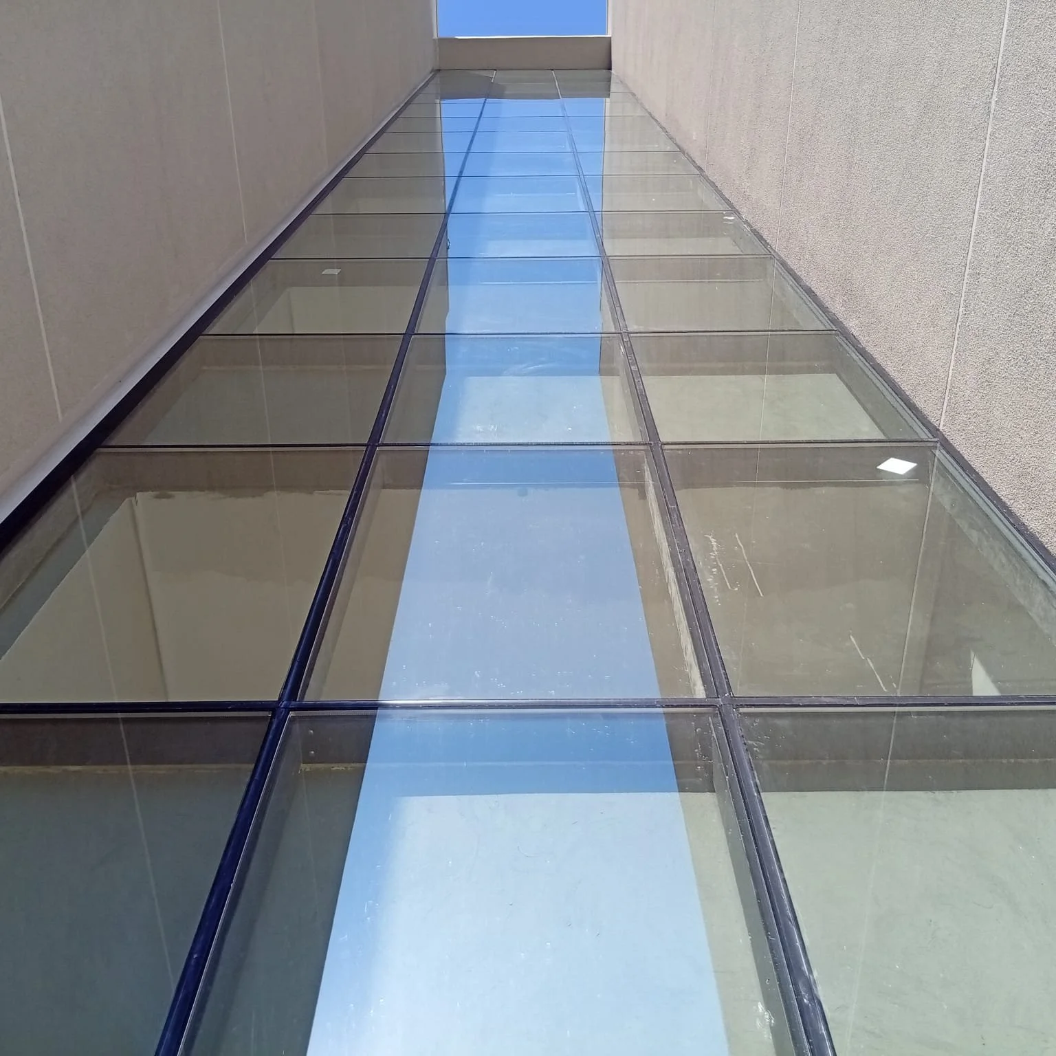 Obra Valle Oriente-Muro Cortina Serie 100 grafito con Dvh Inc. 24mm-Remate sello estructural.