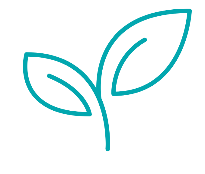 Growing plant icon representing 1:1 therapeutic coaching for midlife women seeking sustainable wellbeing and personal growth