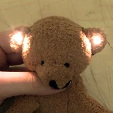 soft Teddy