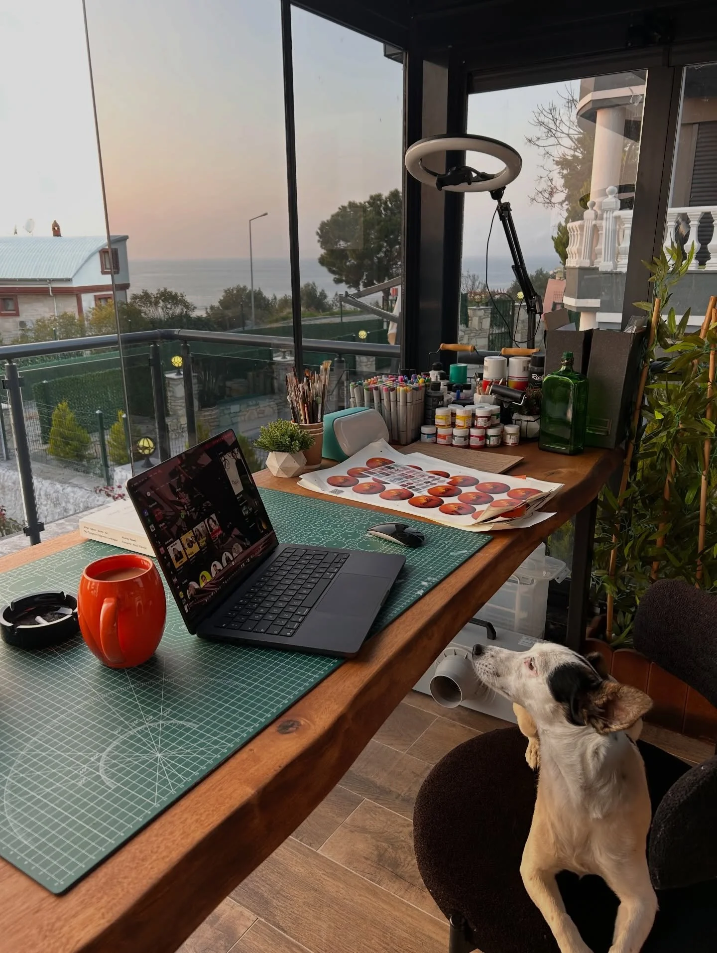 Hello from one studio desk to another | S12E04