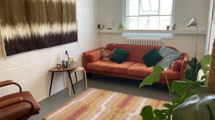 Living room with peach-colored sofa, green pillows, a small side table with a water bottle and plants, a colorful area rug, and a large window with white blinds.