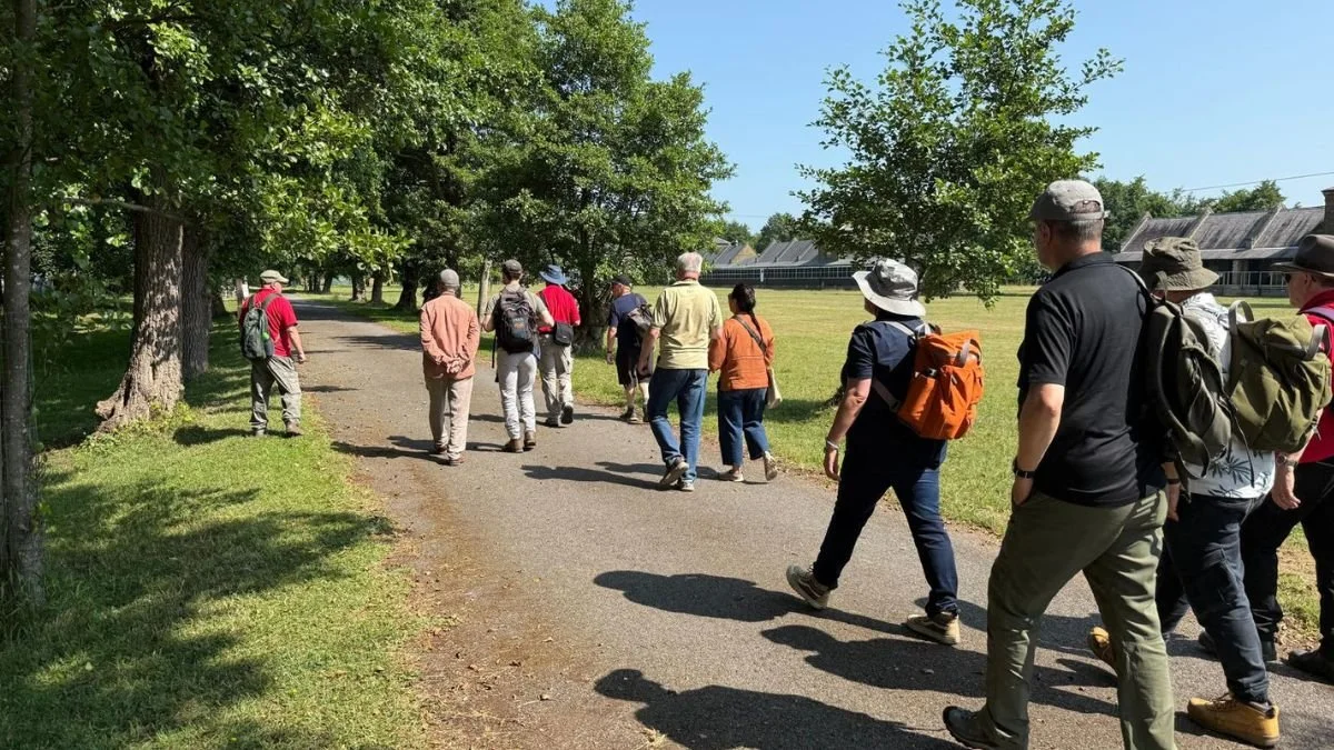 Walking Tour