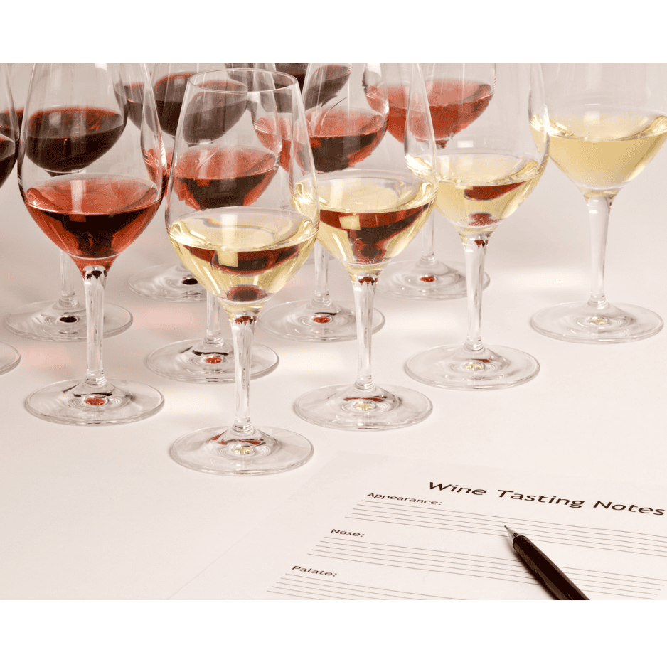 Best Wines for Blind Tasting (Beginner-Friendly Picks)