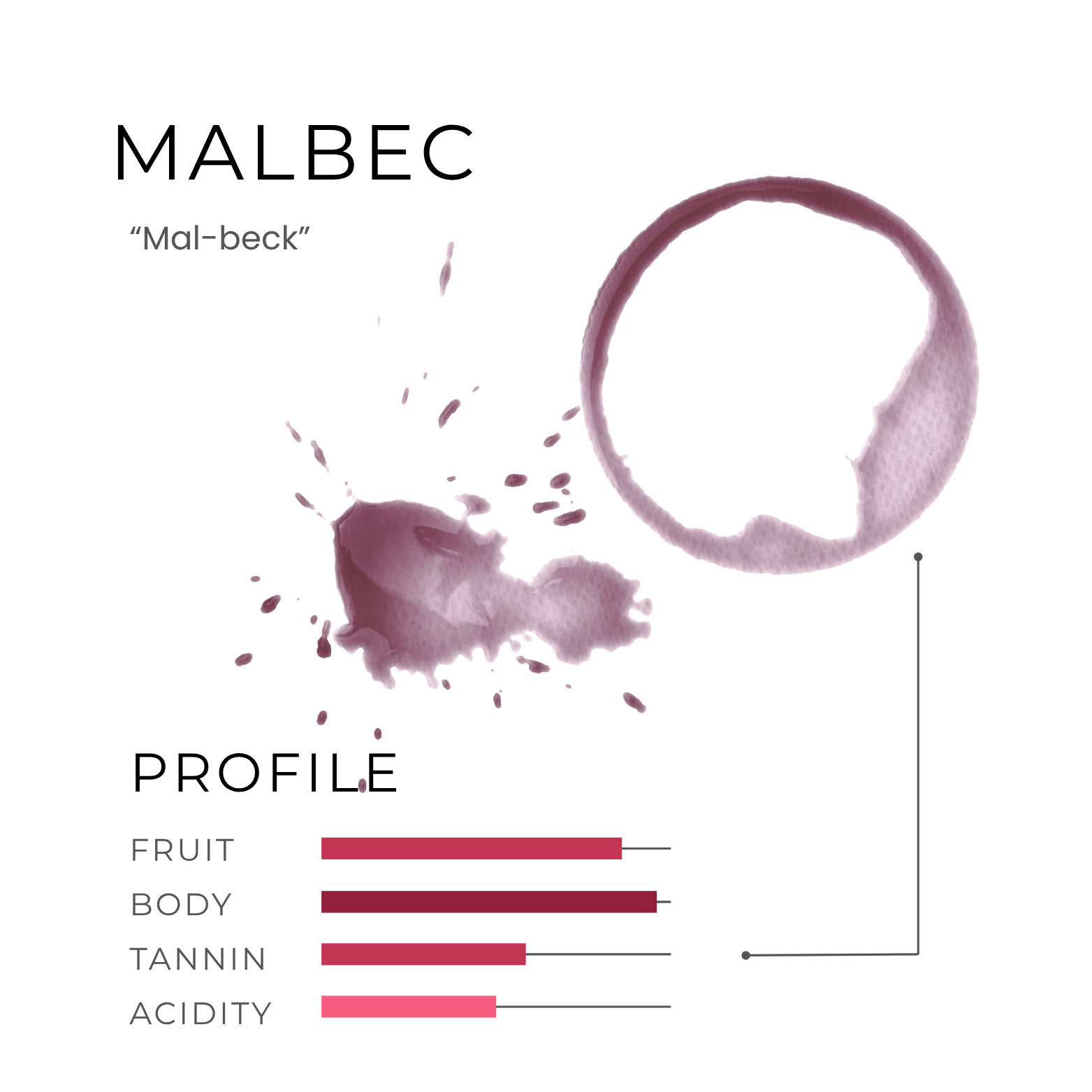 A wine stain, a splash, and a flavor profile bar chart for Malbec highlight this classic among types of wine.