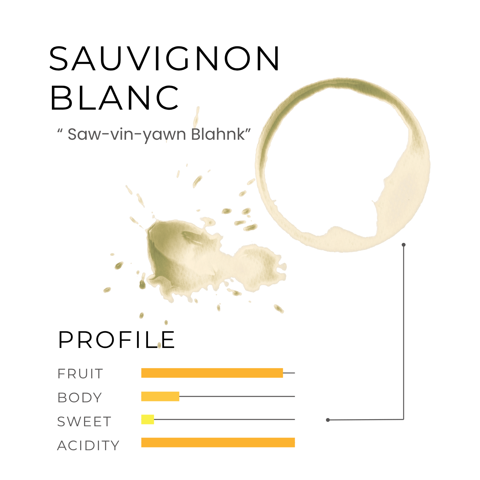A wine stain, a splash, and a flavor profile bar chart for Sauvignon Blanc highlight this classic among types of wine.