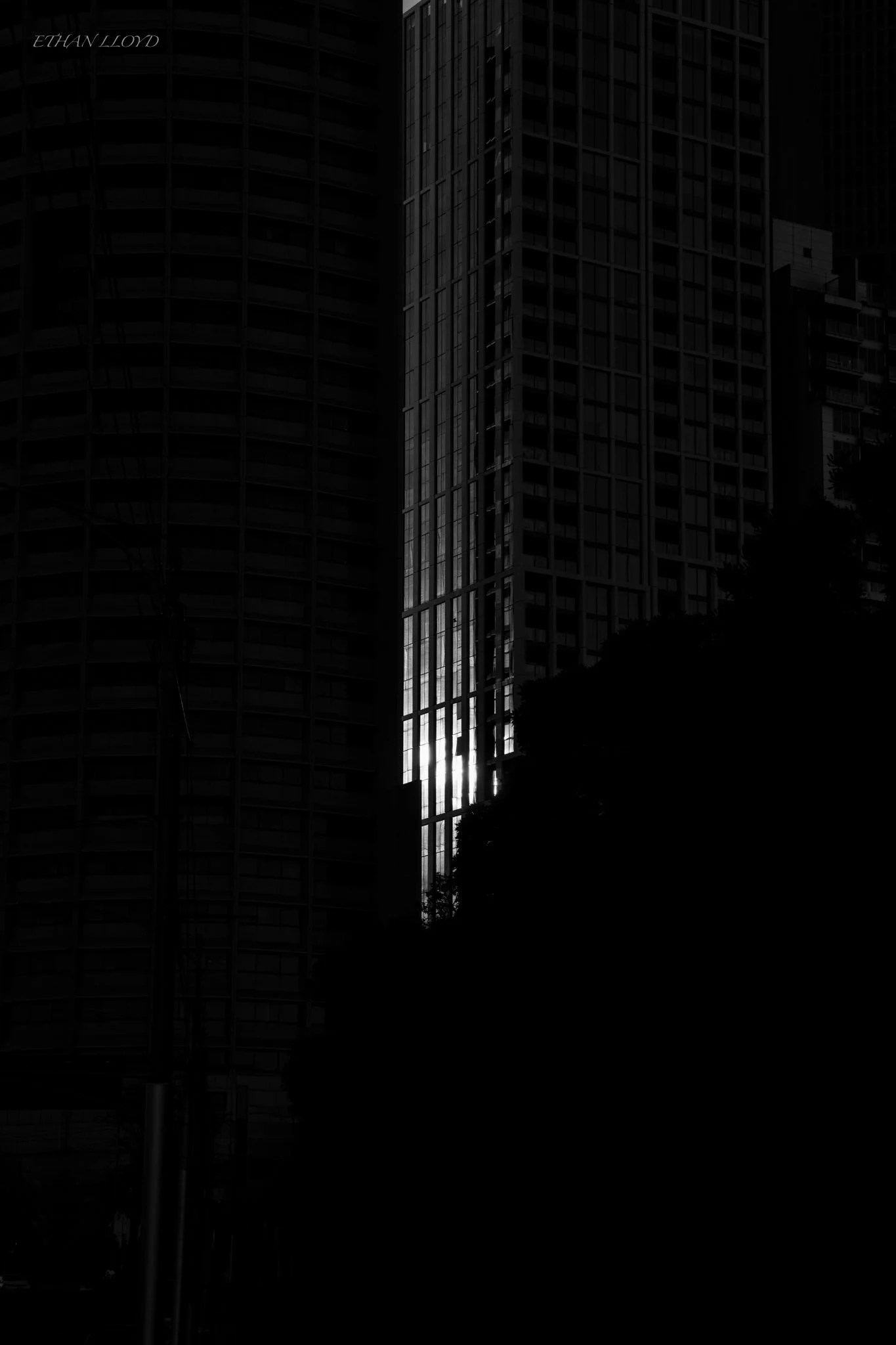 Sunlight reflecting off the glass windows of tall skyscraper buildings in downtown city.