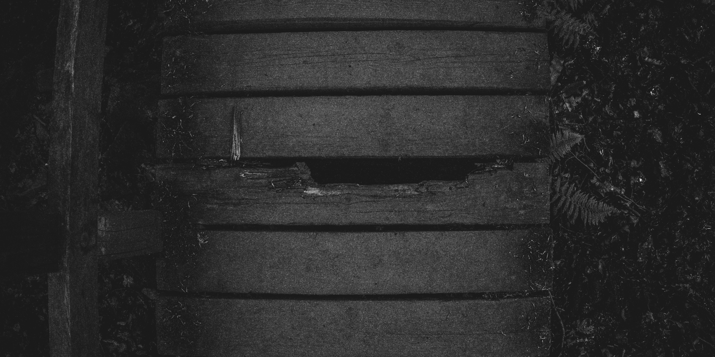 Close-up of old, weathered wooden planks on a bridge, with dark foliage on the sides.