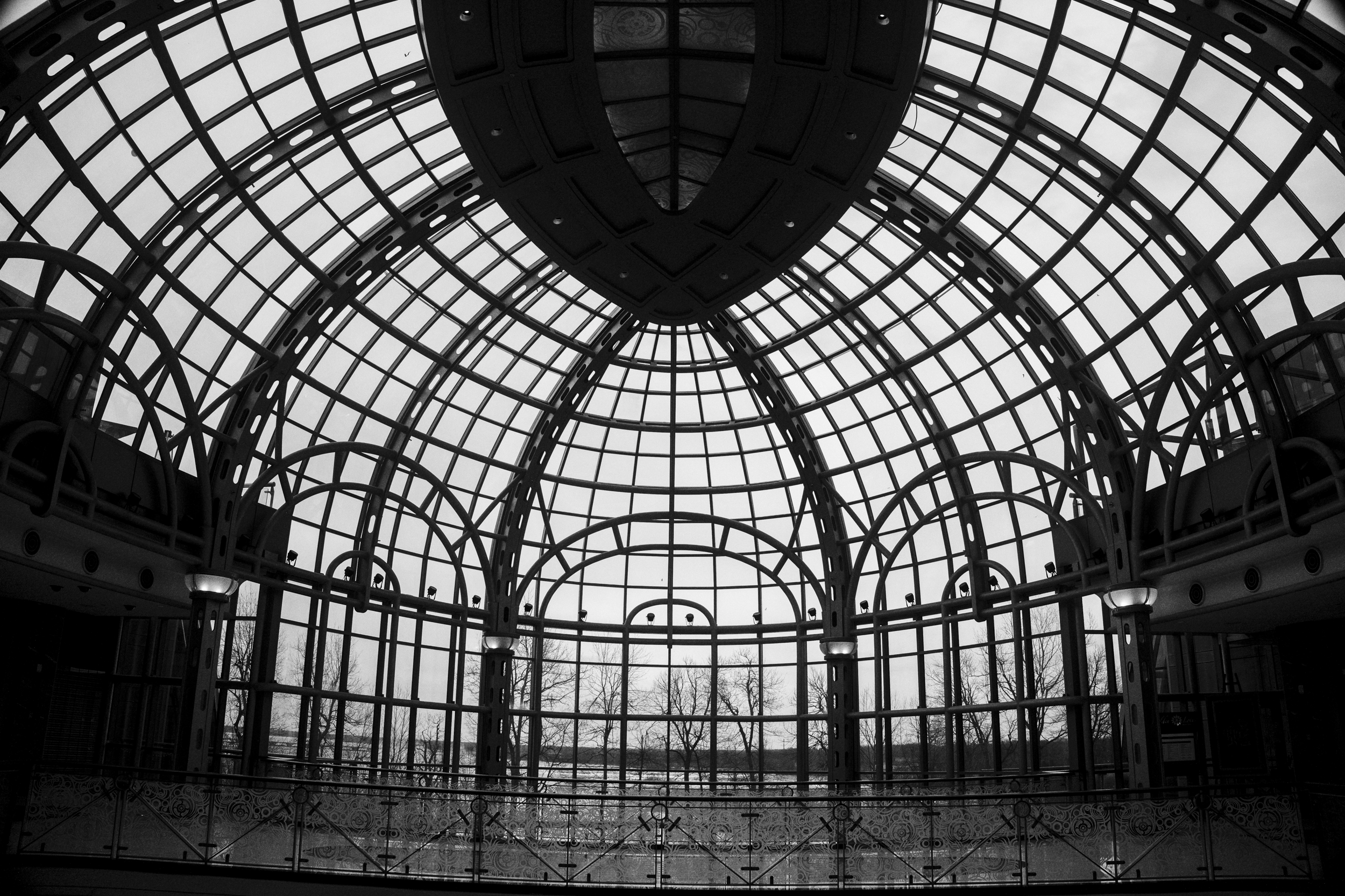 Black and white photo of a glass-domed interior structure with metal framework, possibly a conservatory or atrium, with trees visible outside.