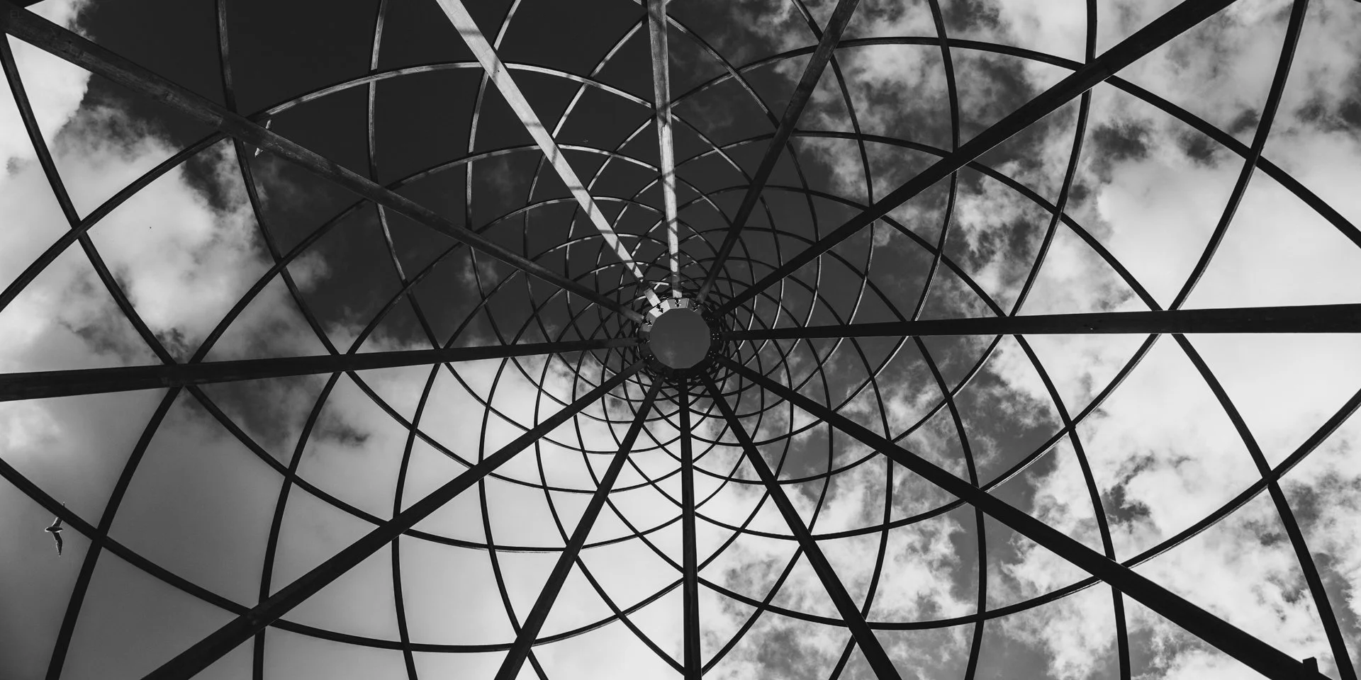 Botanical Gardens | Bristol | 2025