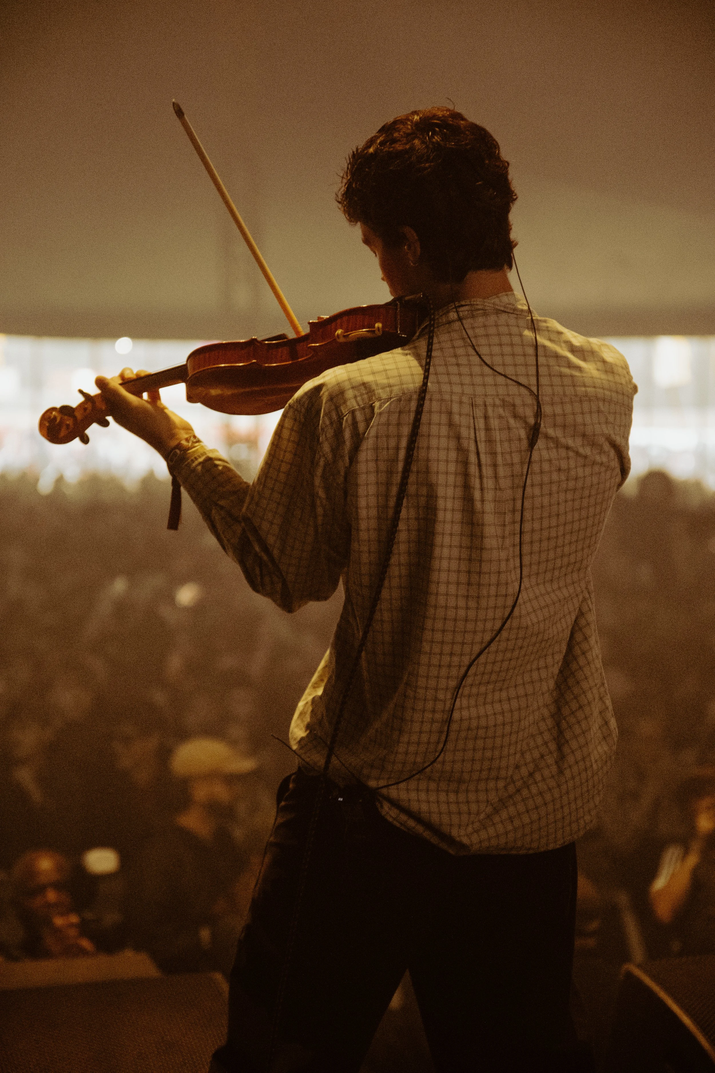 The violinist from the band Fat Dog taken from on stage behind him, showing the fan filled festival tent in front.