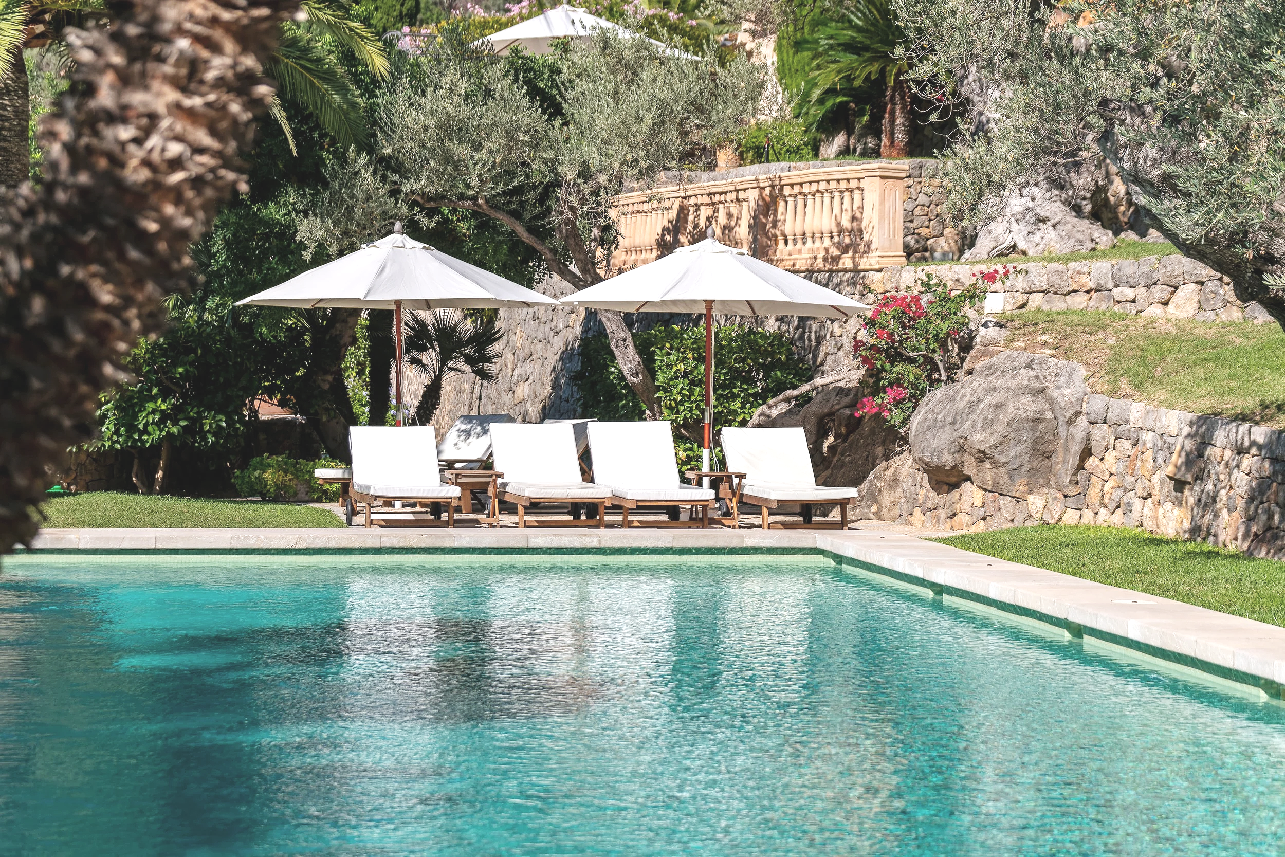 Son Salas -001 1  (5).png