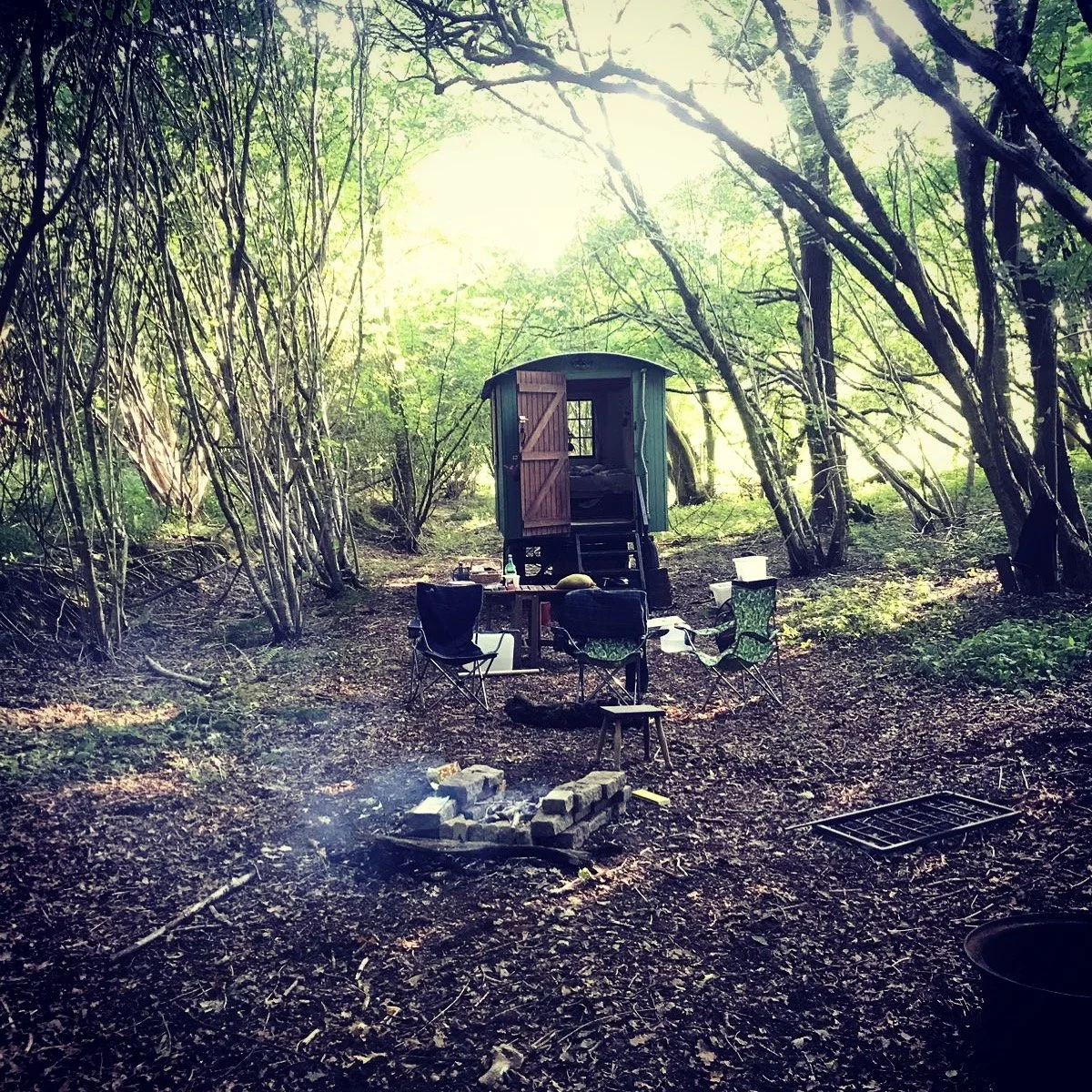 A small campsite in a wooded area with a tiny trailer, a fire pit, and four chairs around a table, set in a forest with green trees and sunlight filtering through.