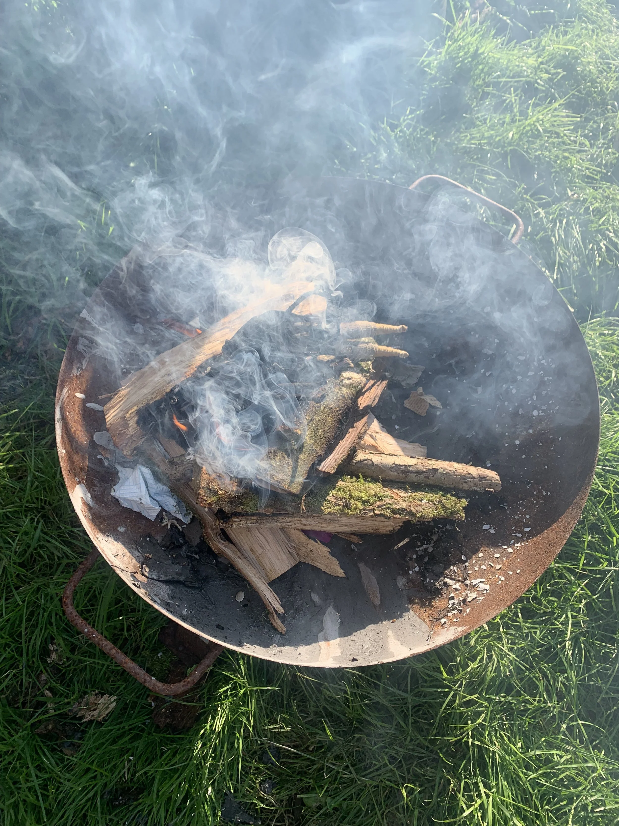 A fire pit with burning logs surrounded by green grass.