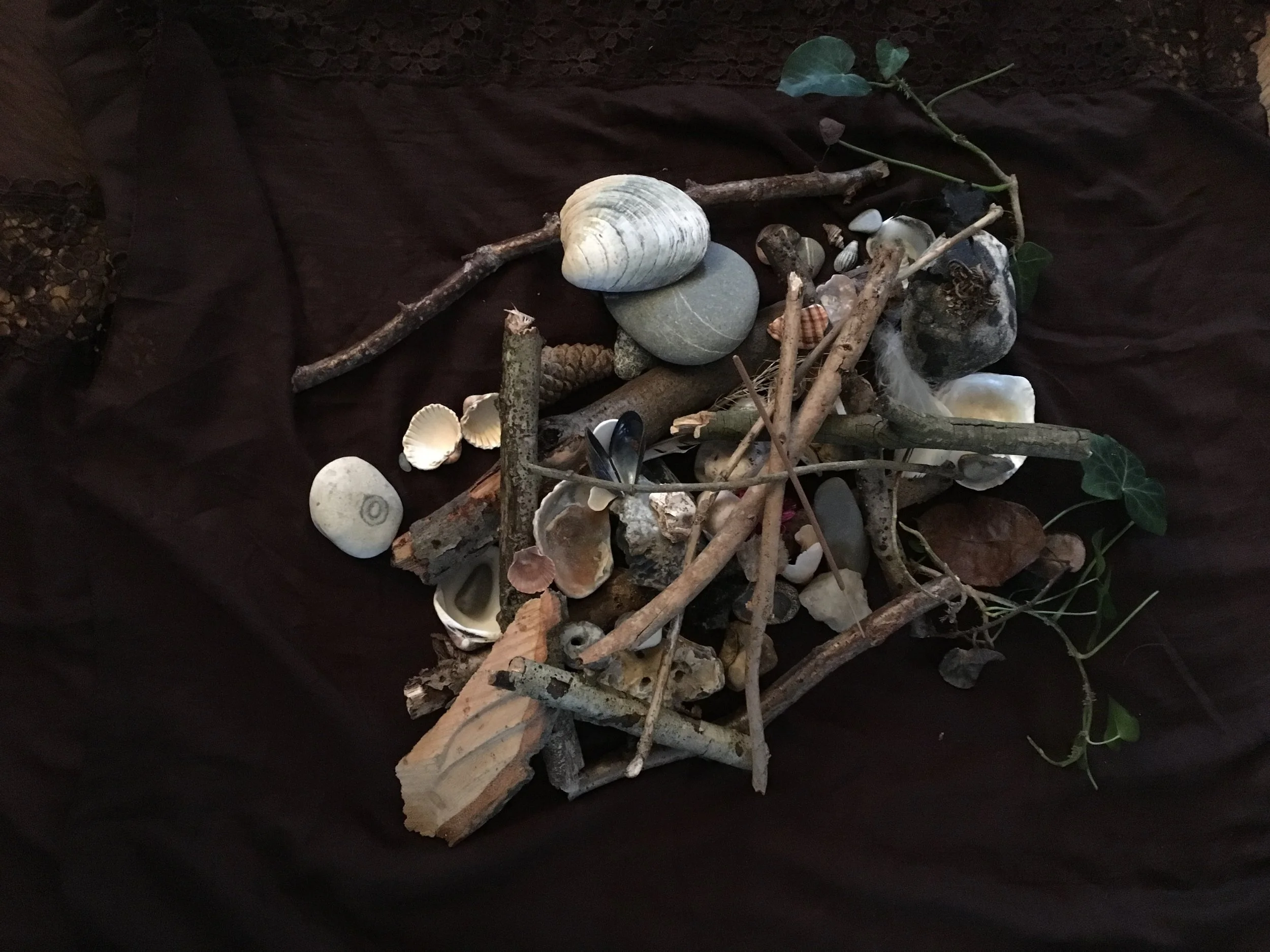 Arrangement of various seashells, twigs, stones, and leaves on a dark fabric surface.