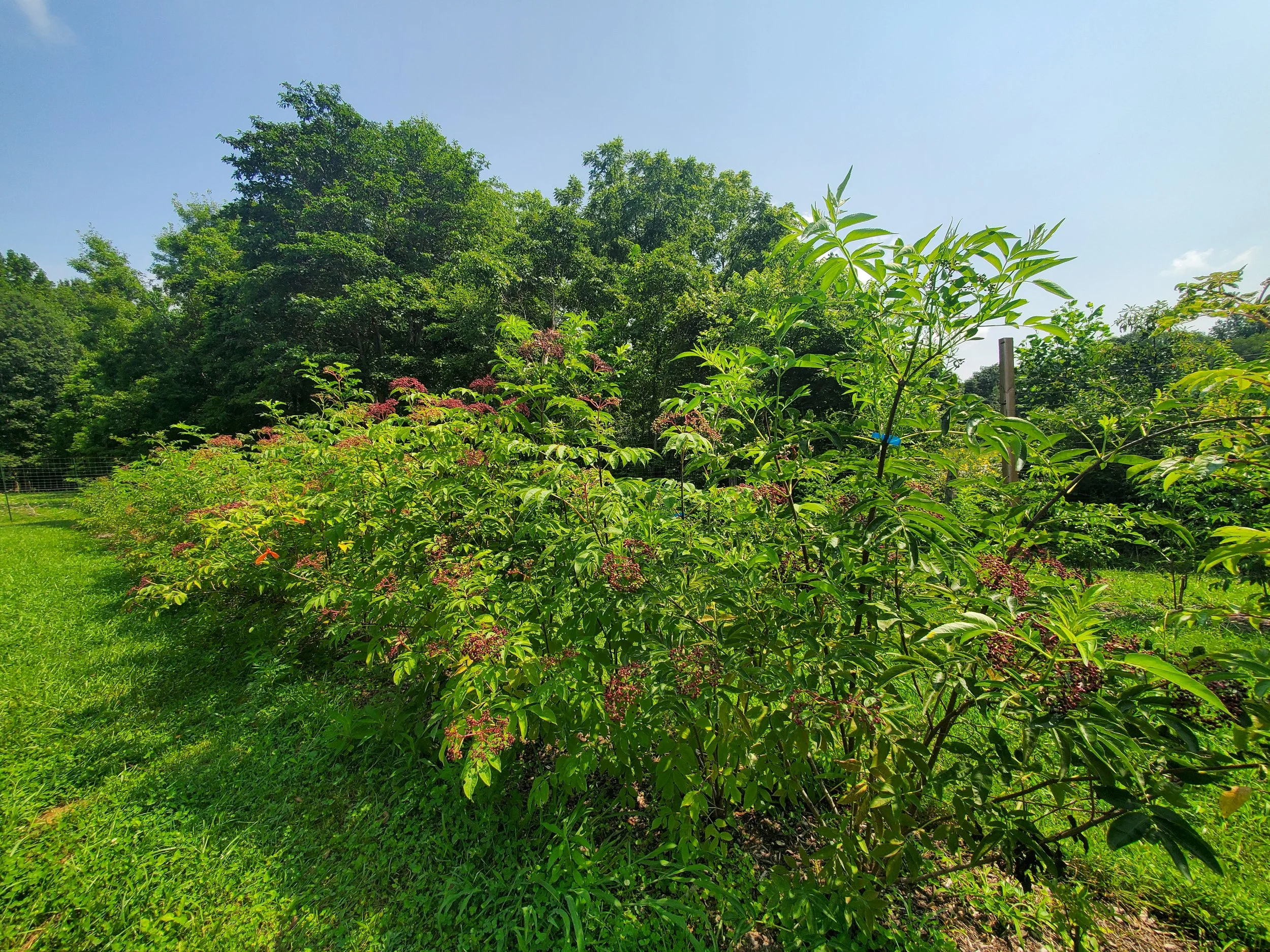 20260729_121445.jpg