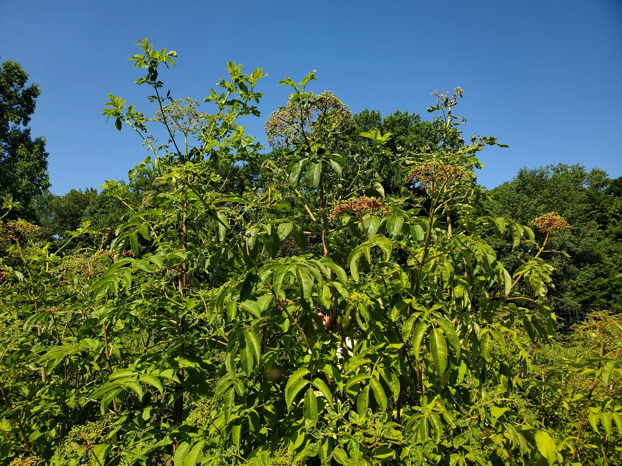 20260703_105655.jpg