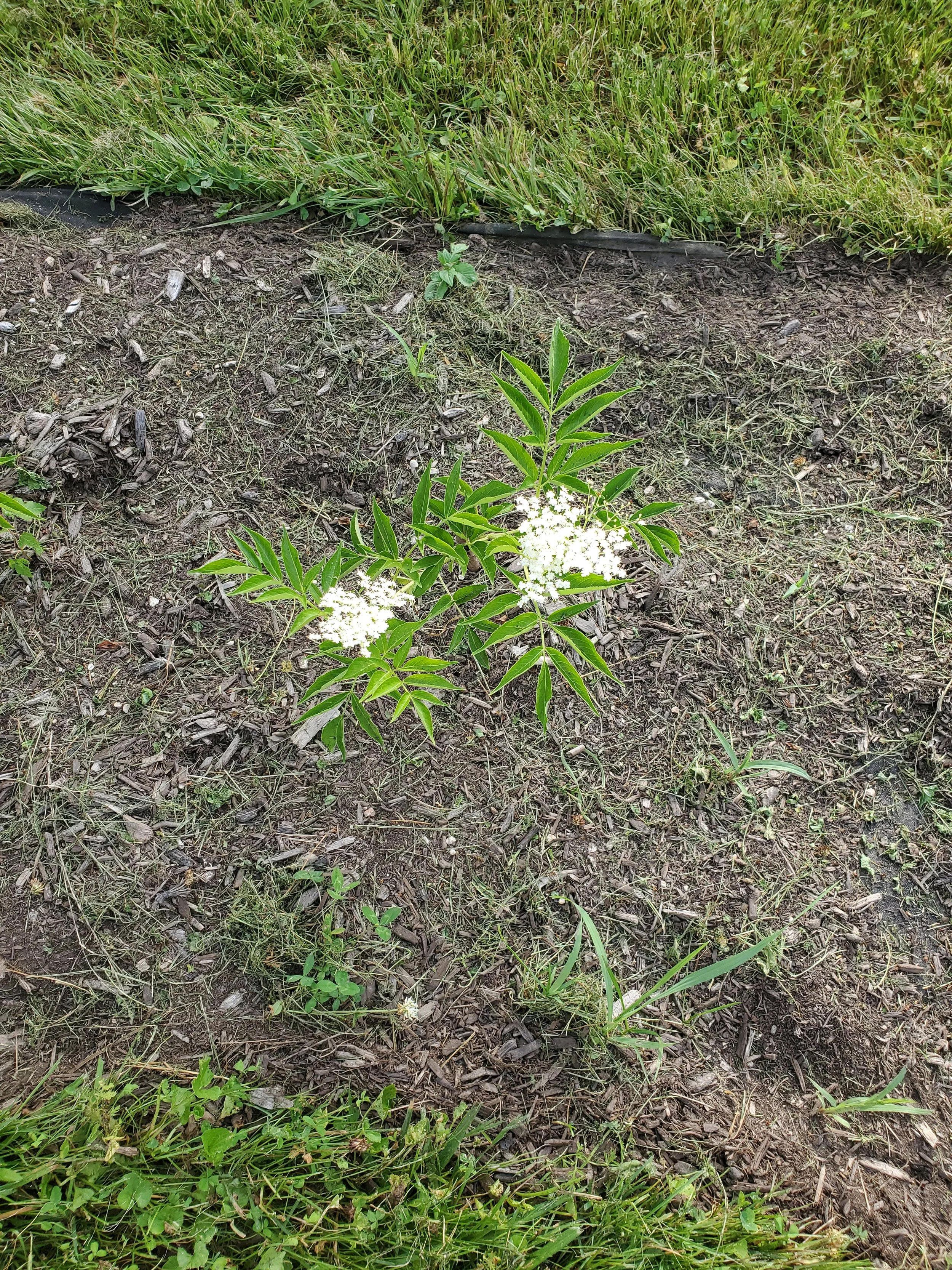 20250629_185910.jpg