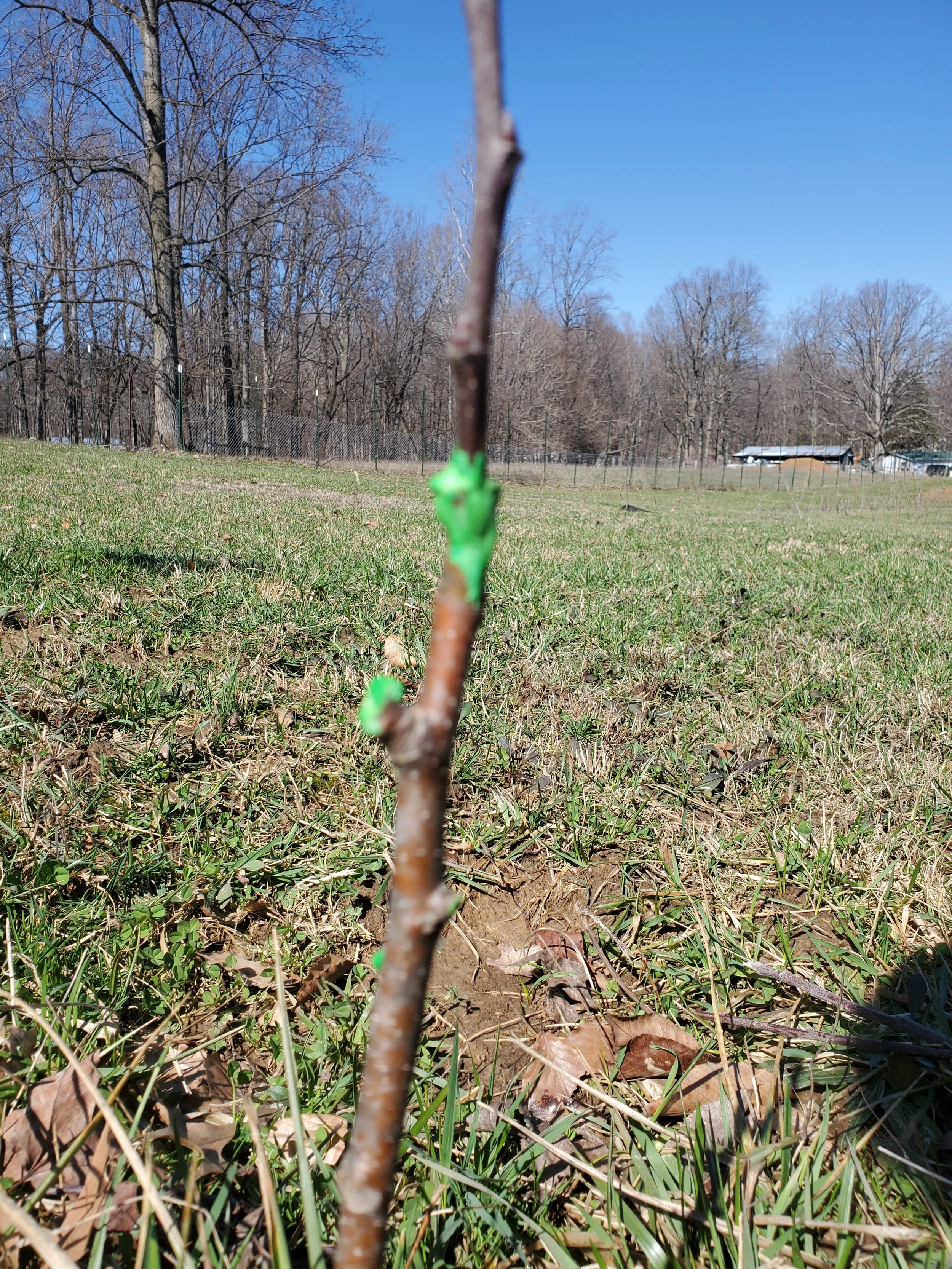 20260308_131652.jpg