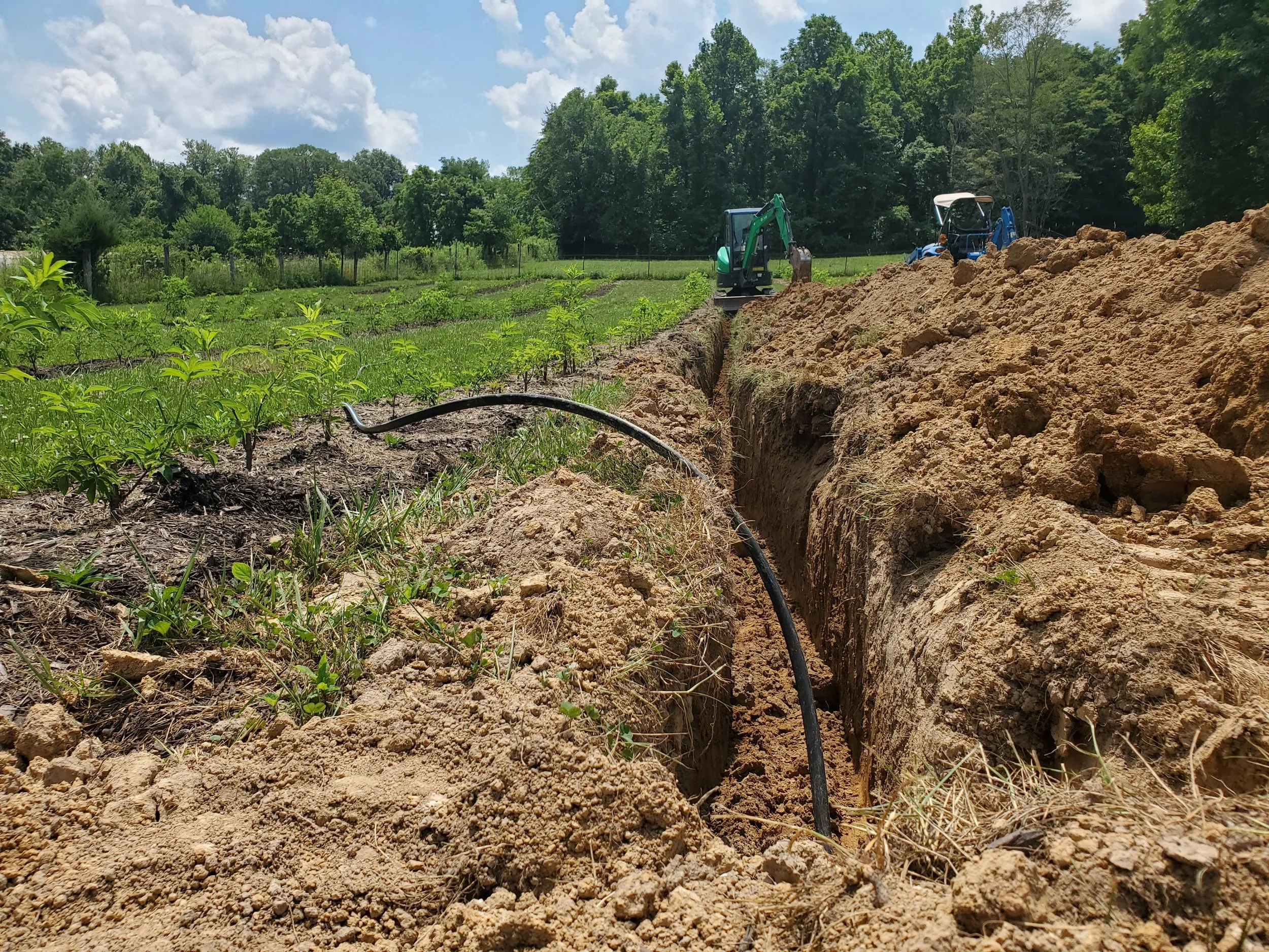 20250713_133110.jpg